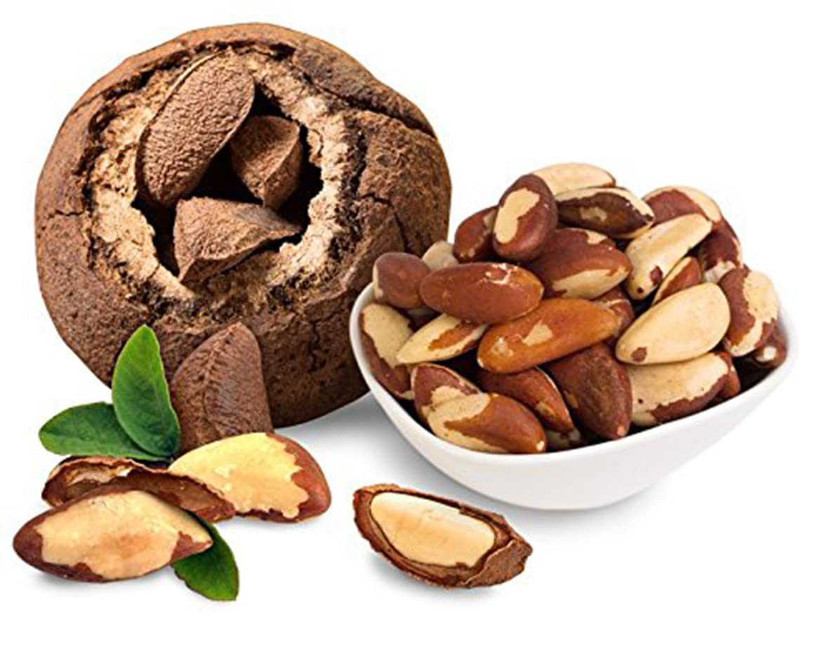 Premium Wild Harvested Raw Brazil Nuts, 1 lb (16oz) – High Selenium, Batch Tested Peanut & Gluten Free, Non-GMO, Kosher, Resealable Bag