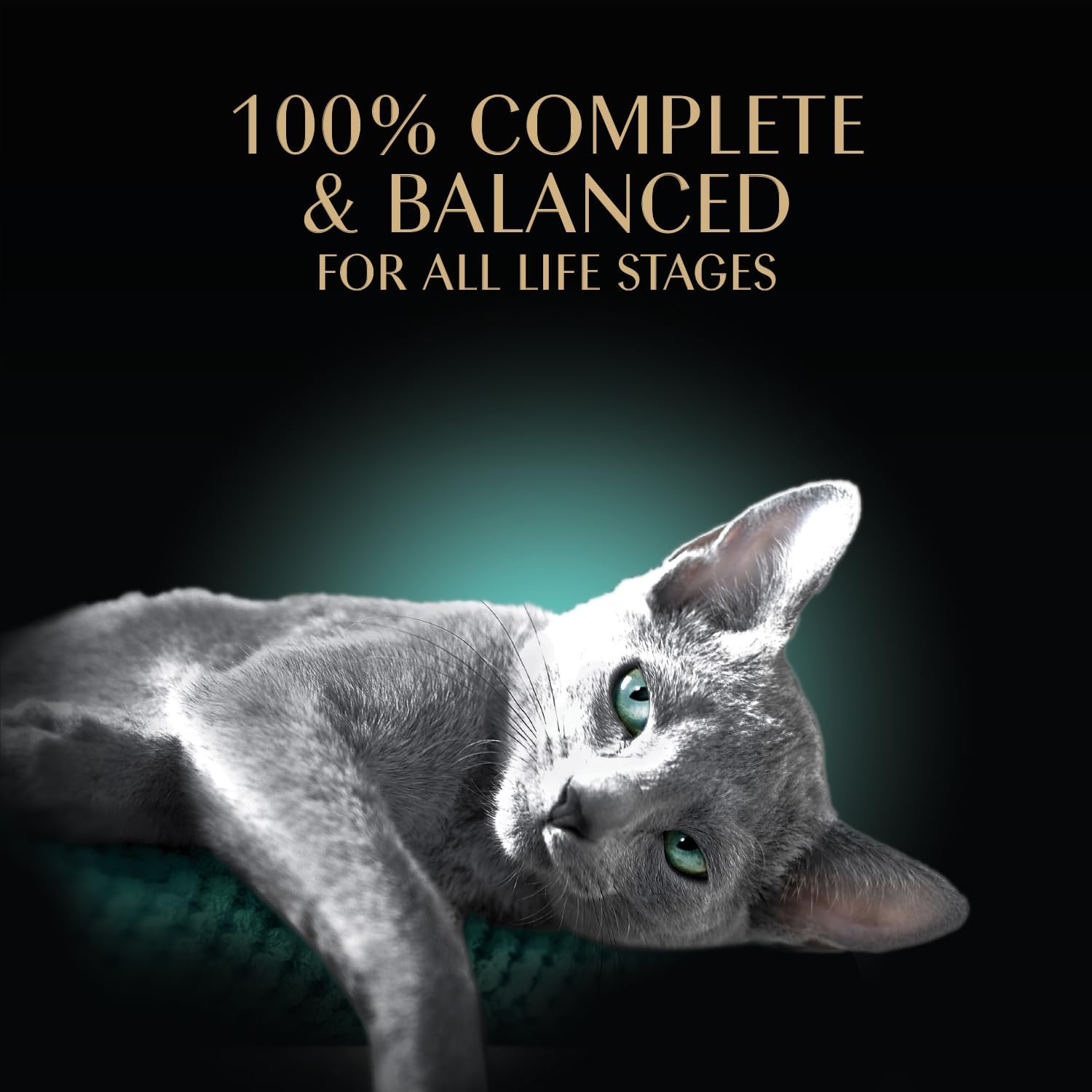 Sheba Perfect Portions Wet Cat Food Cuts in Gravy, Roasted Chicken Entree, 2.6 oz. Twin-Pack Trays (24 Count, 48 Servings)
