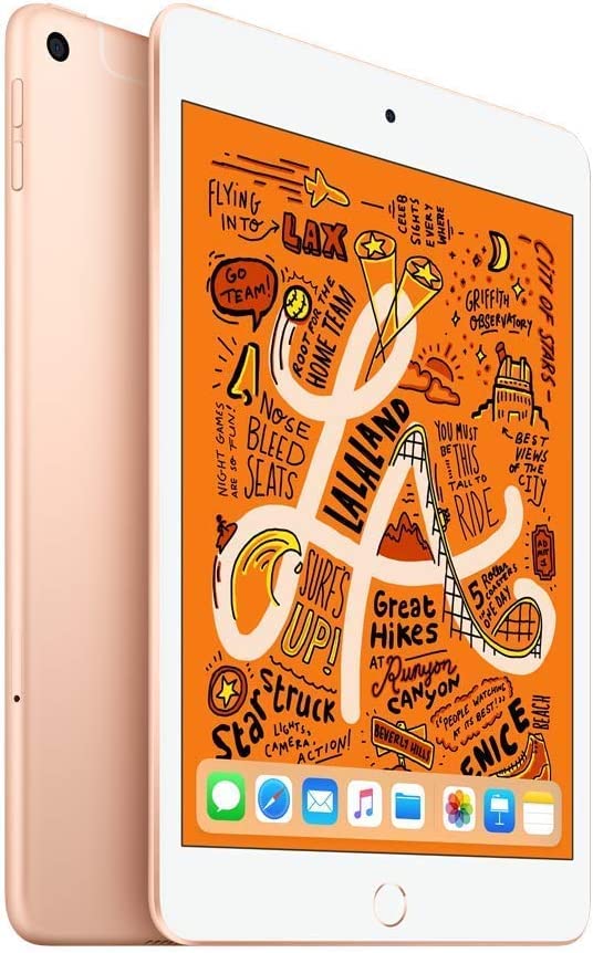 Apple iPad Mini, 5th Gen (Wi-Fi, 64GB) - Space Gray (Renewed)