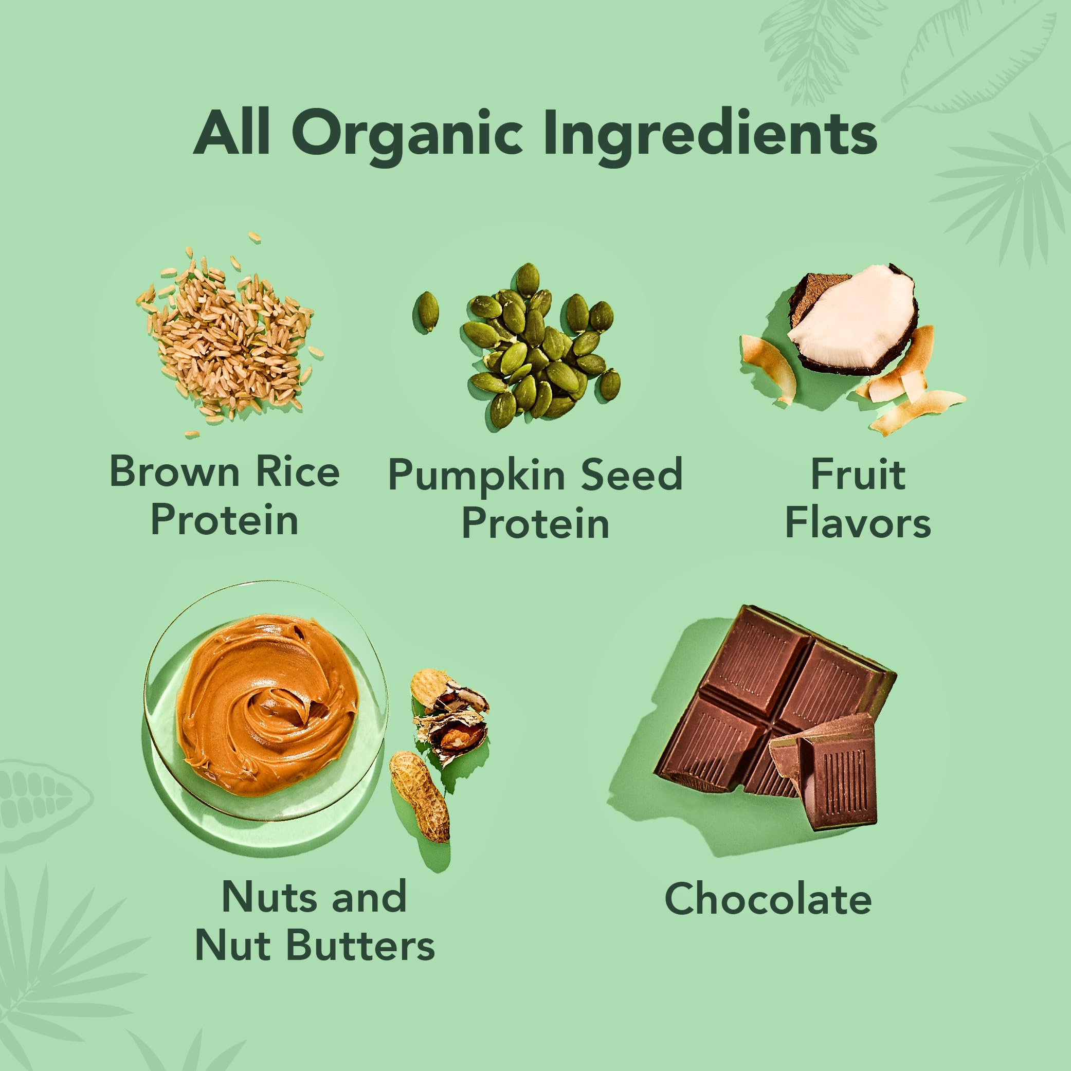 ALOHA Organic Plant Based Protein Bars |Peanut Butter Chocolate Chip | 1.98 Oz (Pack of 12) | Vegan, Low Sugar, Gluten Free, Paleo, Low Carb, Non-GMO, Stevia Free, Soy Free, No Sugar Alcohols