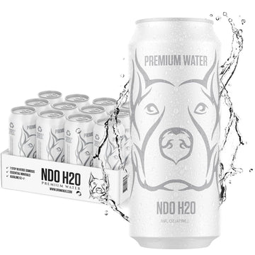 NO DAYS OFF Premium Water - 12 Pack, 16 fl oz, Still - 8.1pH Alkaline Ultra-Purified Reverse Osmosis with Electrolytes & Minerals - Calcium, Magnesium, Potassium - BPA-free 100% Recyclable Cans
