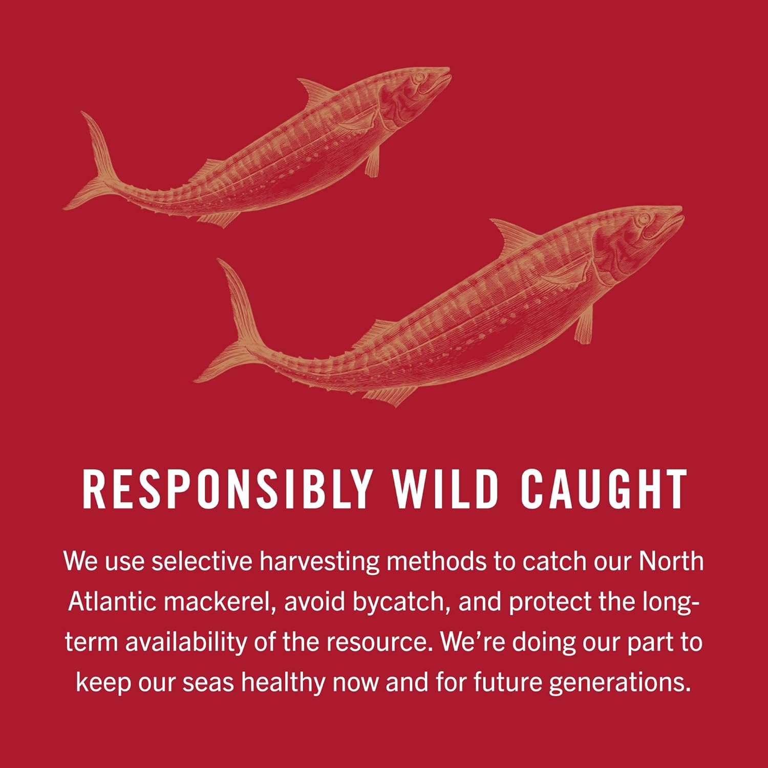 King Oscar Mackerel in Olive Oil, 4.05 Ounce Can (Pack of 6, Packaging May Vary), Skinless & Boneless, Wild Caught Canned Mackerel