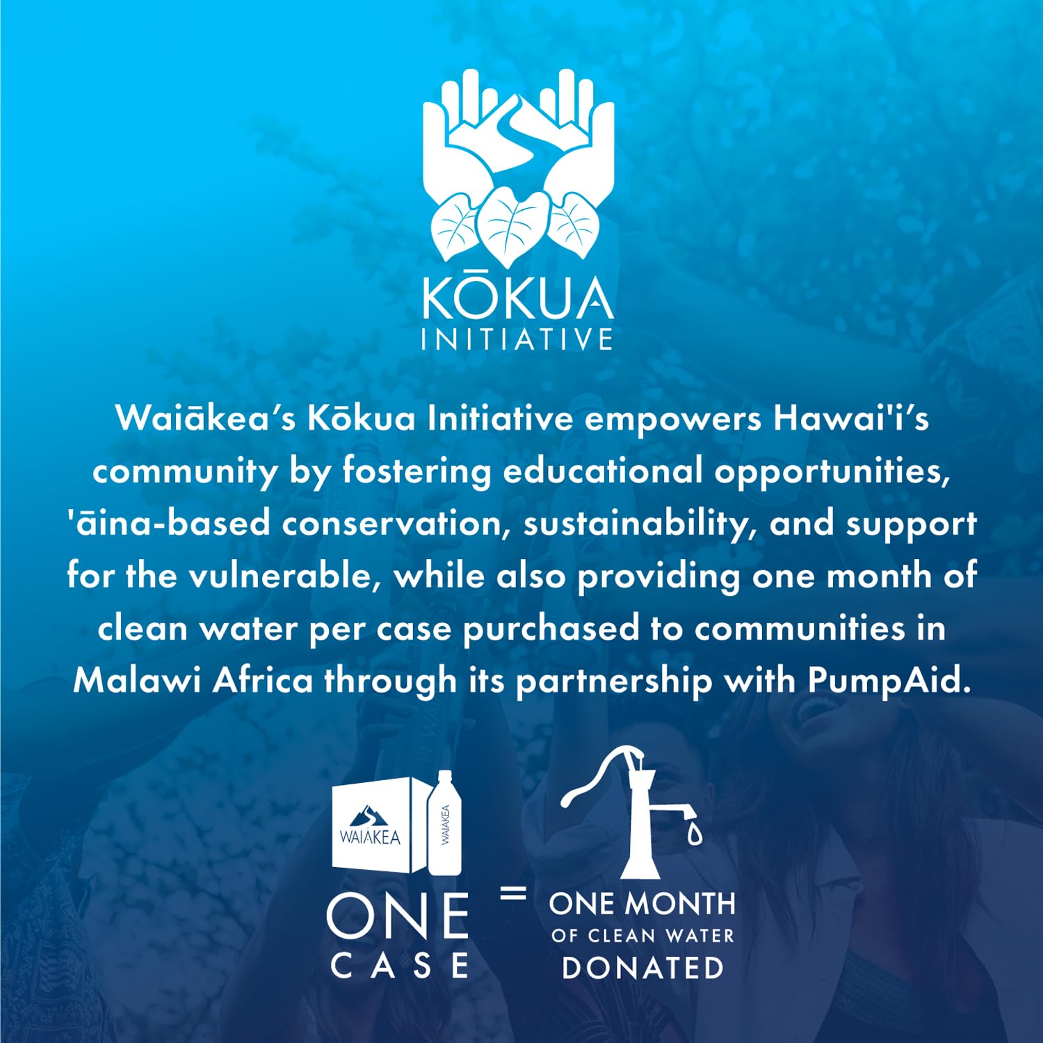 Waiakea Hawaiian Volcanic Water, Naturally Alkaline, 100% Recycled Bottle, 1L (Pack of 12), 33.8 Fl Oz (Pack of 12)
