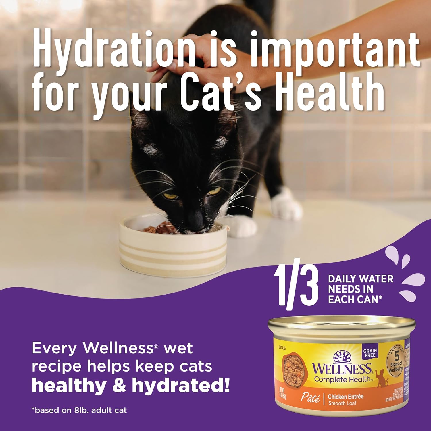 Wellness Complete Health Pate Adult Wet Cat Food, Natural, Protein-Rich, Grain-Free, 3 Ounce, 24 Pack, (Chicken & Turkey Variety Pack)