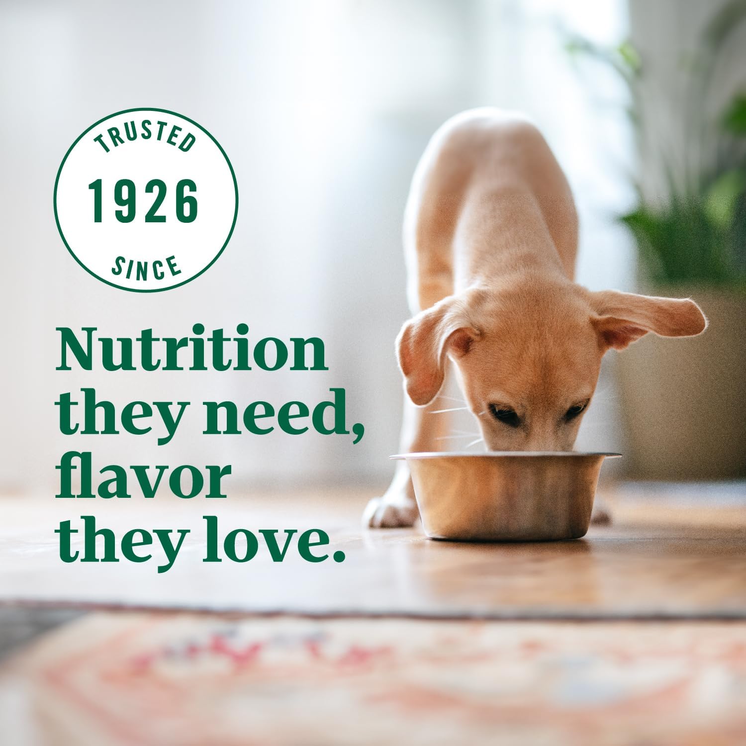 Nutro Ultra High Protein Dry Puppy Food, Trio of Proteins from Chicken, Lamb and Salmon, 3.5 lb Bag