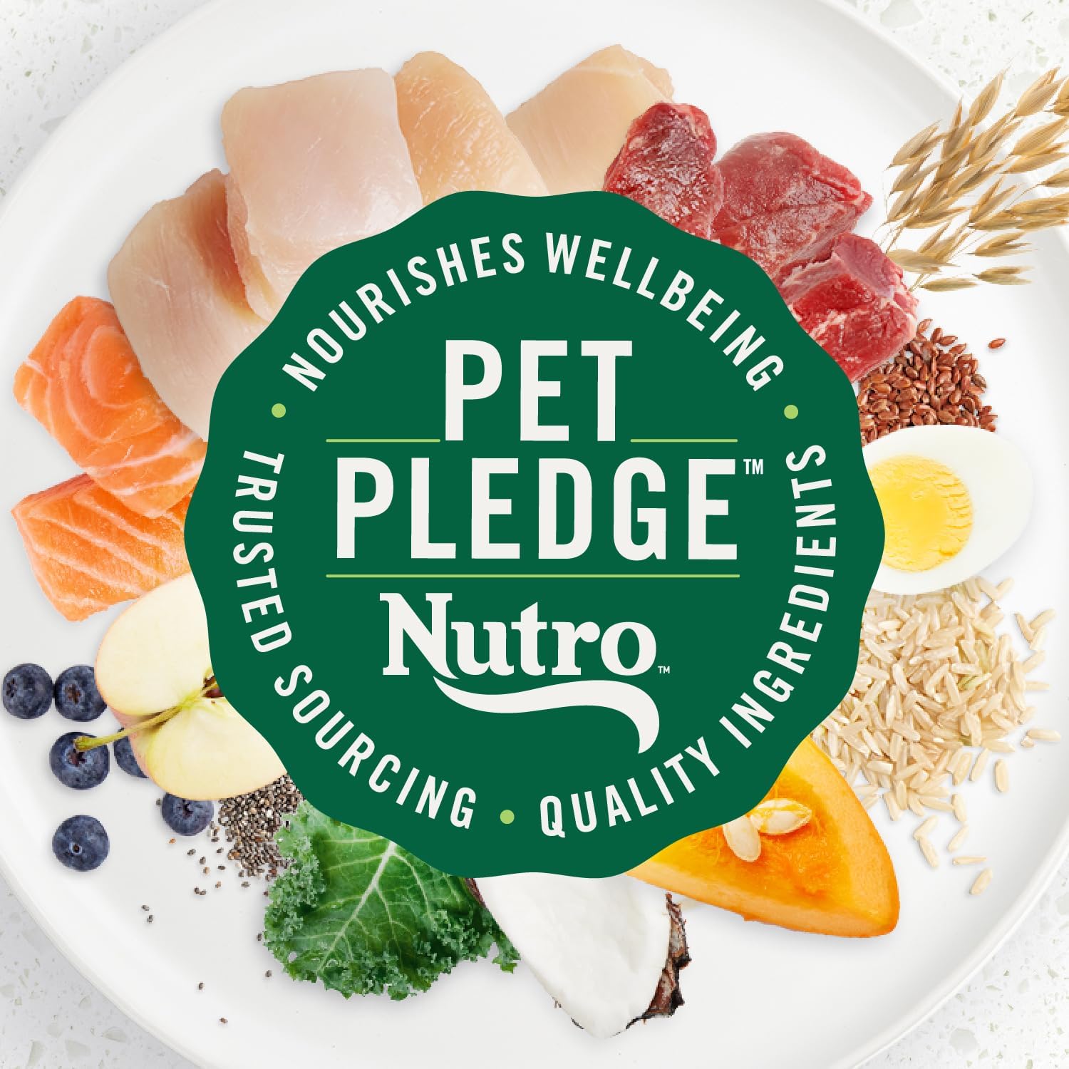 Nutro Ultra High Protein Dry Puppy Food, Trio of Proteins from Chicken, Lamb and Salmon, 3.5 lb Bag