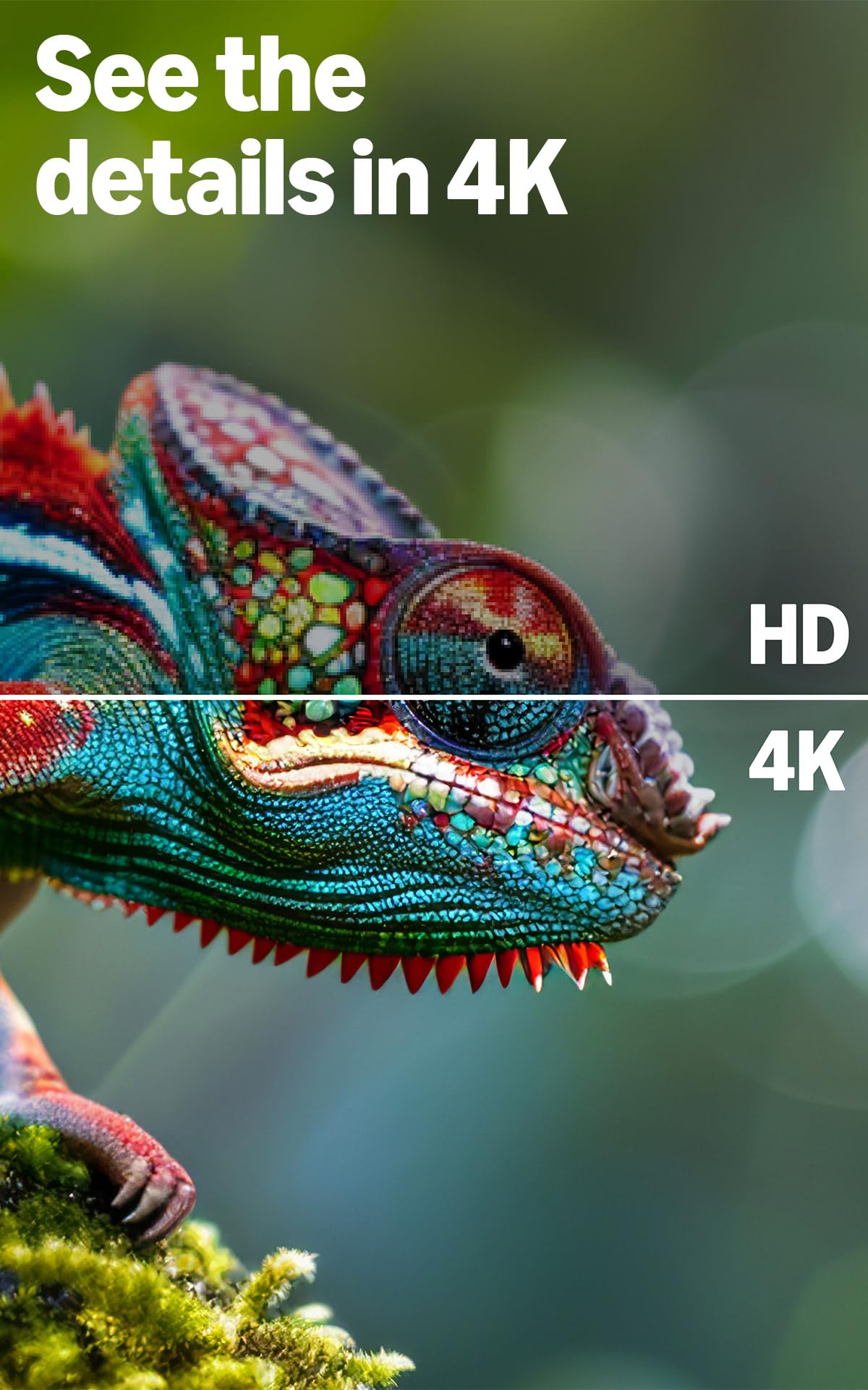 Amazon Ember 43" 4-Series with Fire TV (newest model), 4K Ultra HD smart TV with Alexa Remote, HDR10+, fast processor, Dolby Audio, Ambient Experience, free and live TV, find shows faster with Alexa+