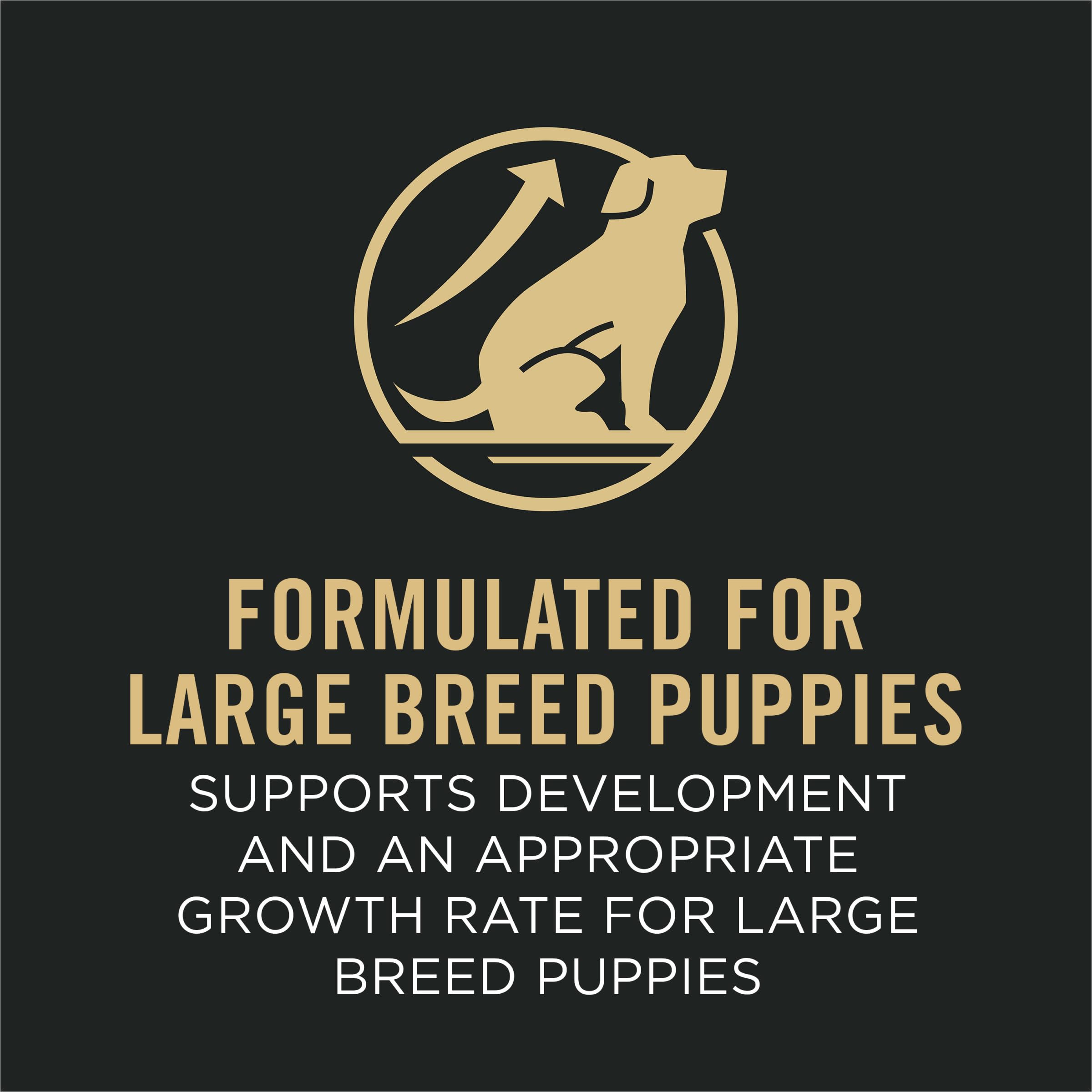 Purina Pro Plan Large Breed Dry Puppy Food, Chicken and Rice Formula - 34 lb. Bag