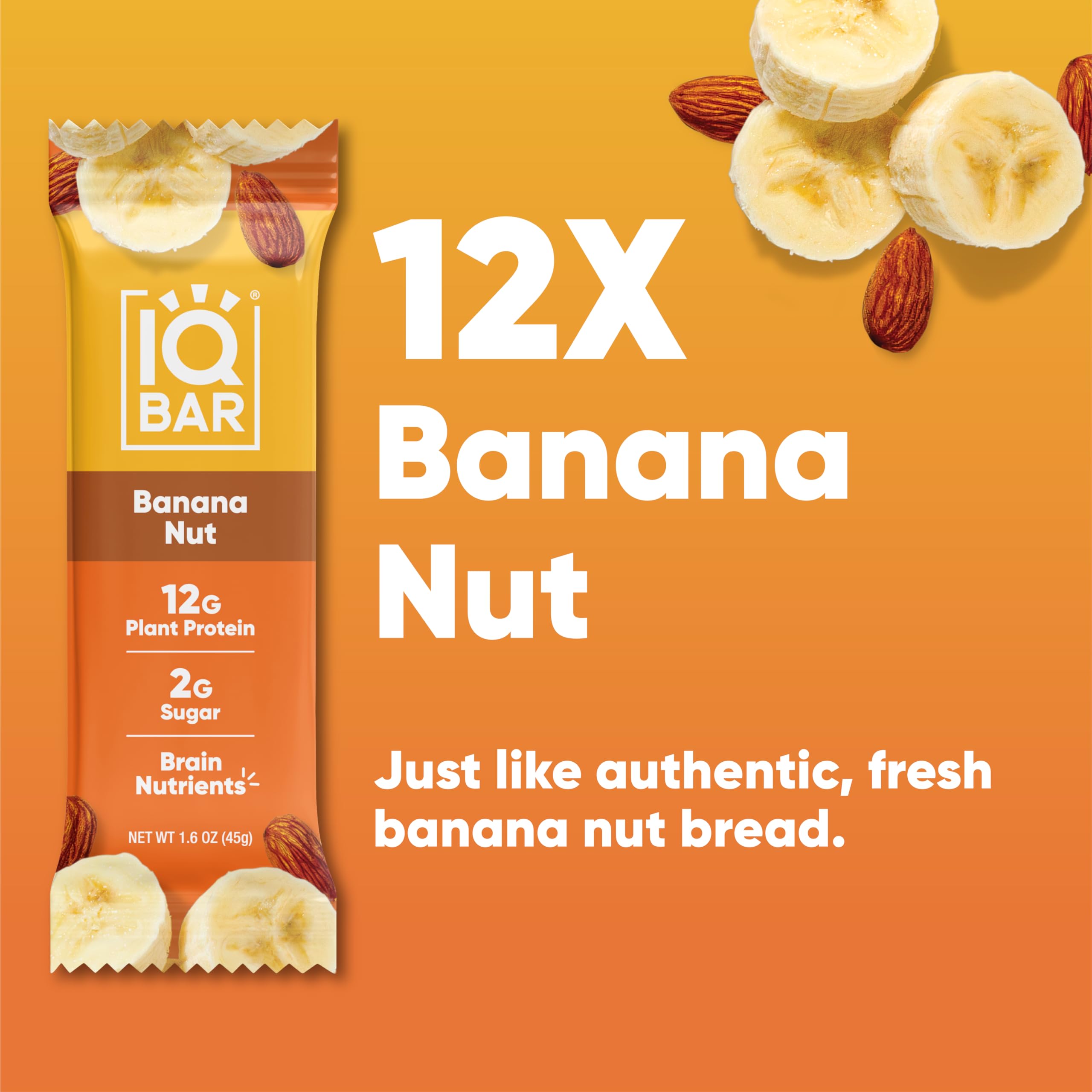 IQBAR Brain and Body Plant Protein Bars - Chocolate Lovers Variety - 36-Count - Keto, Vegan, Low Carb, High Fiber, Gluten Free, Dairy Free, Low Sugar Snack with Nutrients for Focus, Energy, Meal Replacement