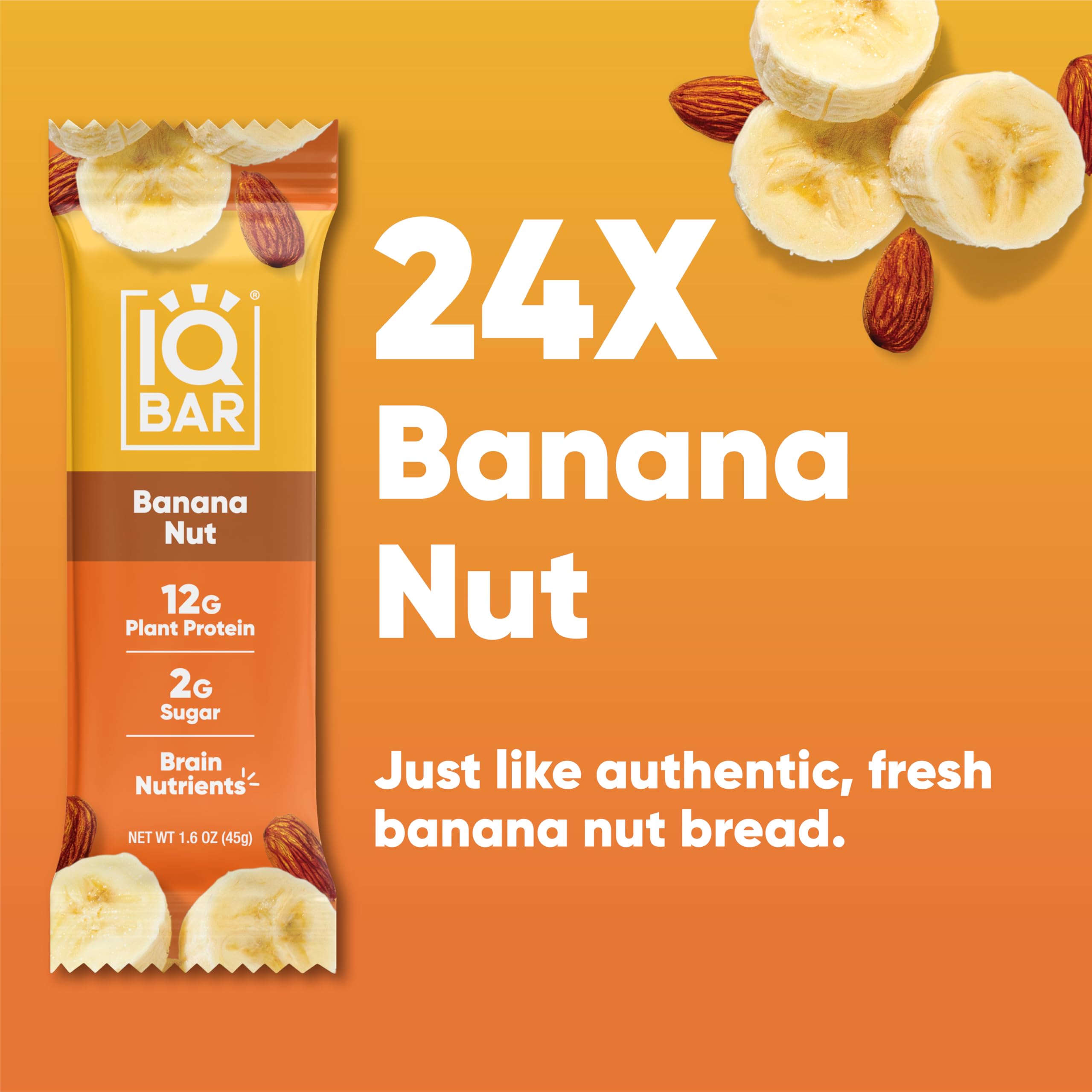 IQBAR Brain and Body Plant Protein Bars - Chocolate Lovers Variety - 36-Count - Keto, Vegan, Low Carb, High Fiber, Gluten Free, Dairy Free, Low Sugar Snack with Nutrients for Focus, Energy, Meal Replacement