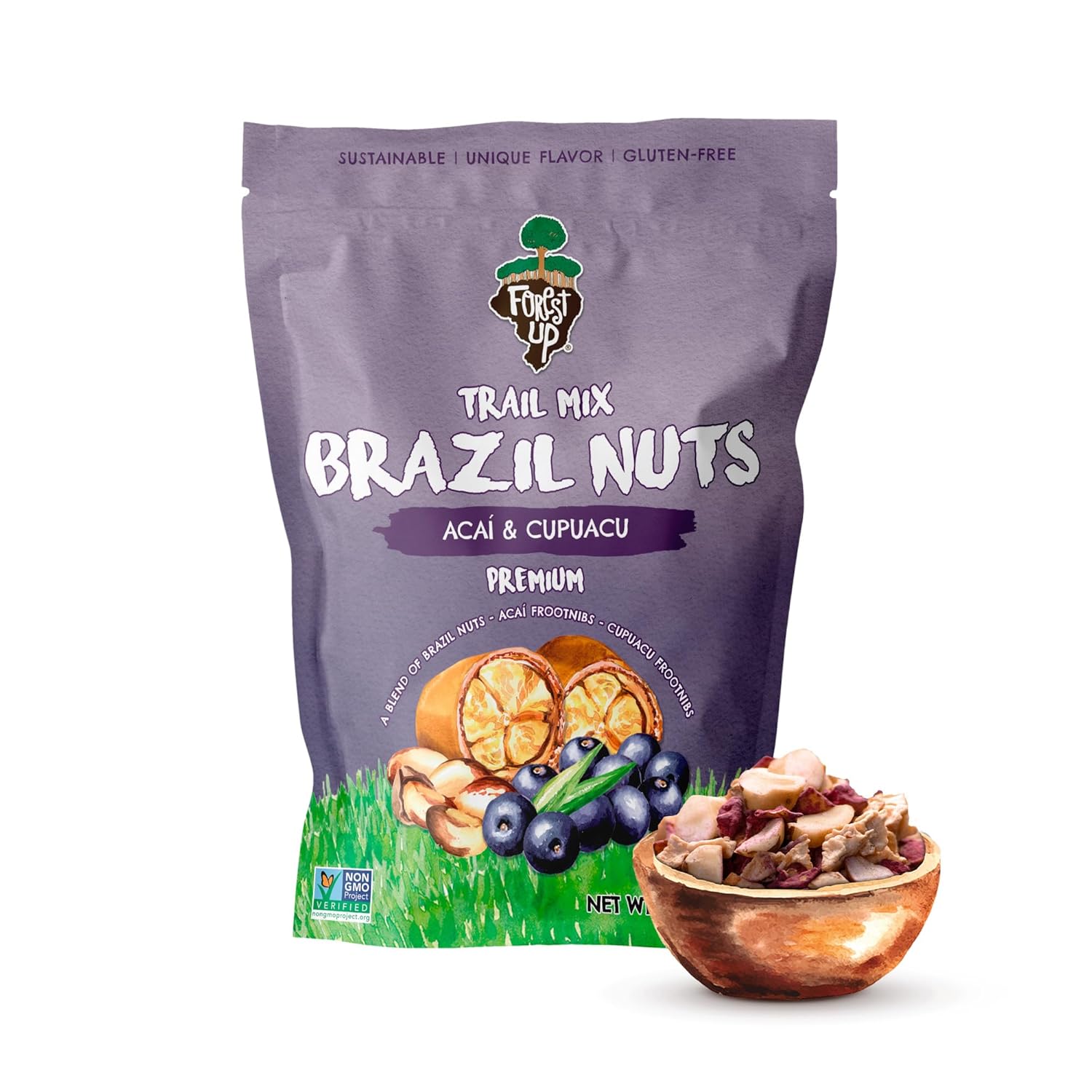 Snack The True Organic Brazil Nuts 15 oz – Raw and Unsalted – Kosher – Healthy-Rich in Vegetable Protein – Harvested in Amazon Rainforest – Fresh, Vegan and Gluten Free – Forest Up