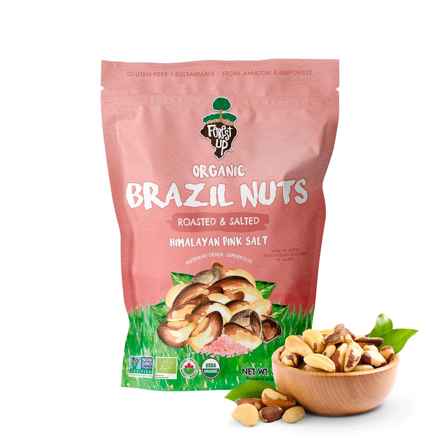Snack The True Organic Brazil Nuts 15 oz – Raw and Unsalted – Kosher – Healthy-Rich in Vegetable Protein – Harvested in Amazon Rainforest – Fresh, Vegan and Gluten Free – Forest Up