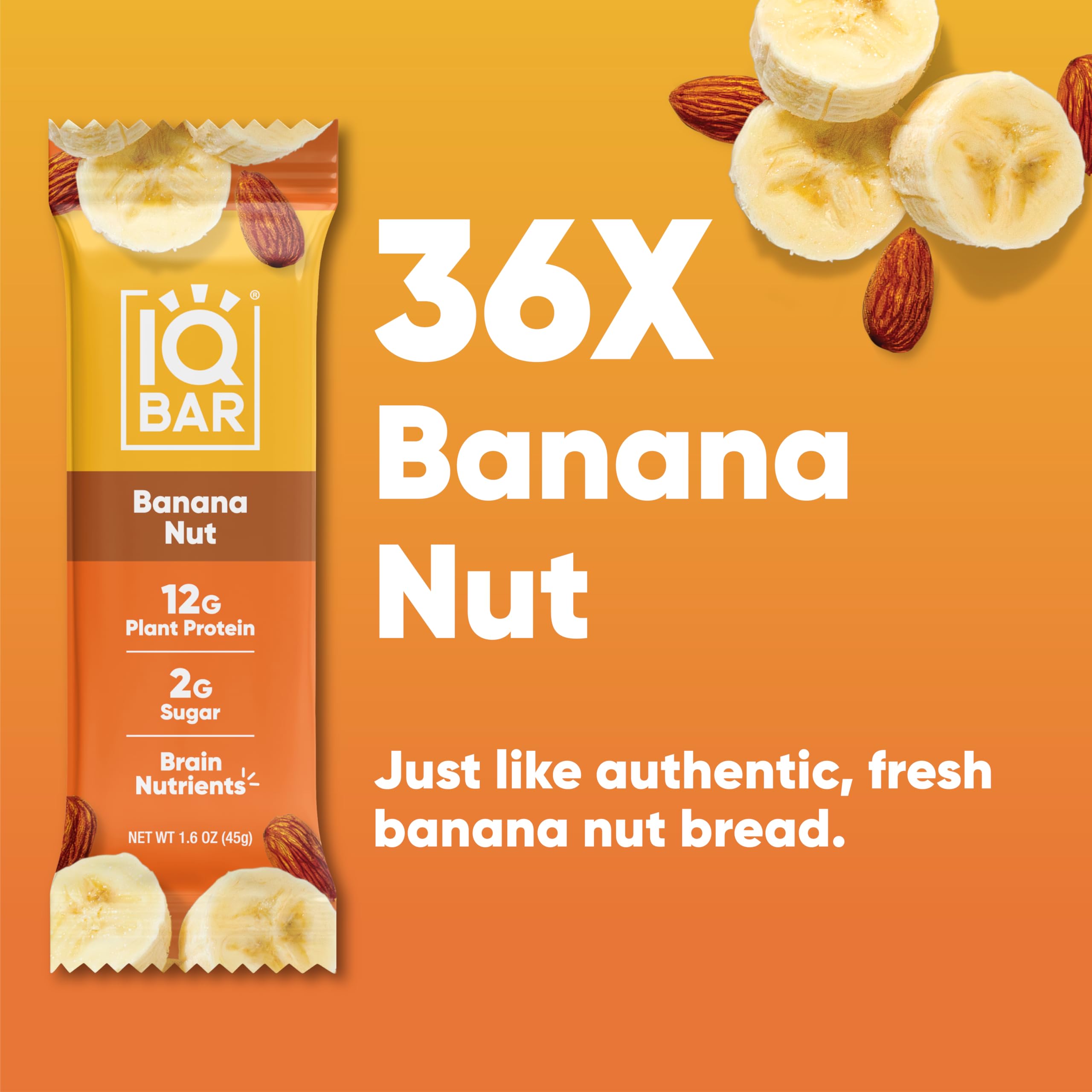IQBAR Brain and Body Plant Protein Bars - Chocolate Lovers Variety - 36-Count - Keto, Vegan, Low Carb, High Fiber, Gluten Free, Dairy Free, Low Sugar Snack with Nutrients for Focus, Energy, Meal Replacement
