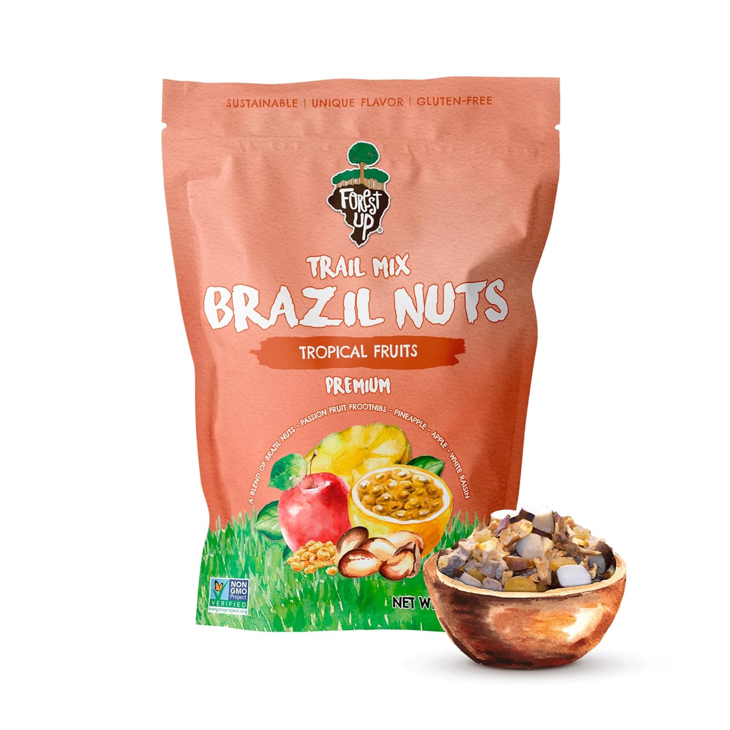 Snack The True Organic Brazil Nuts 15 oz – Raw and Unsalted – Kosher – Healthy-Rich in Vegetable Protein – Harvested in Amazon Rainforest – Fresh, Vegan and Gluten Free – Forest Up