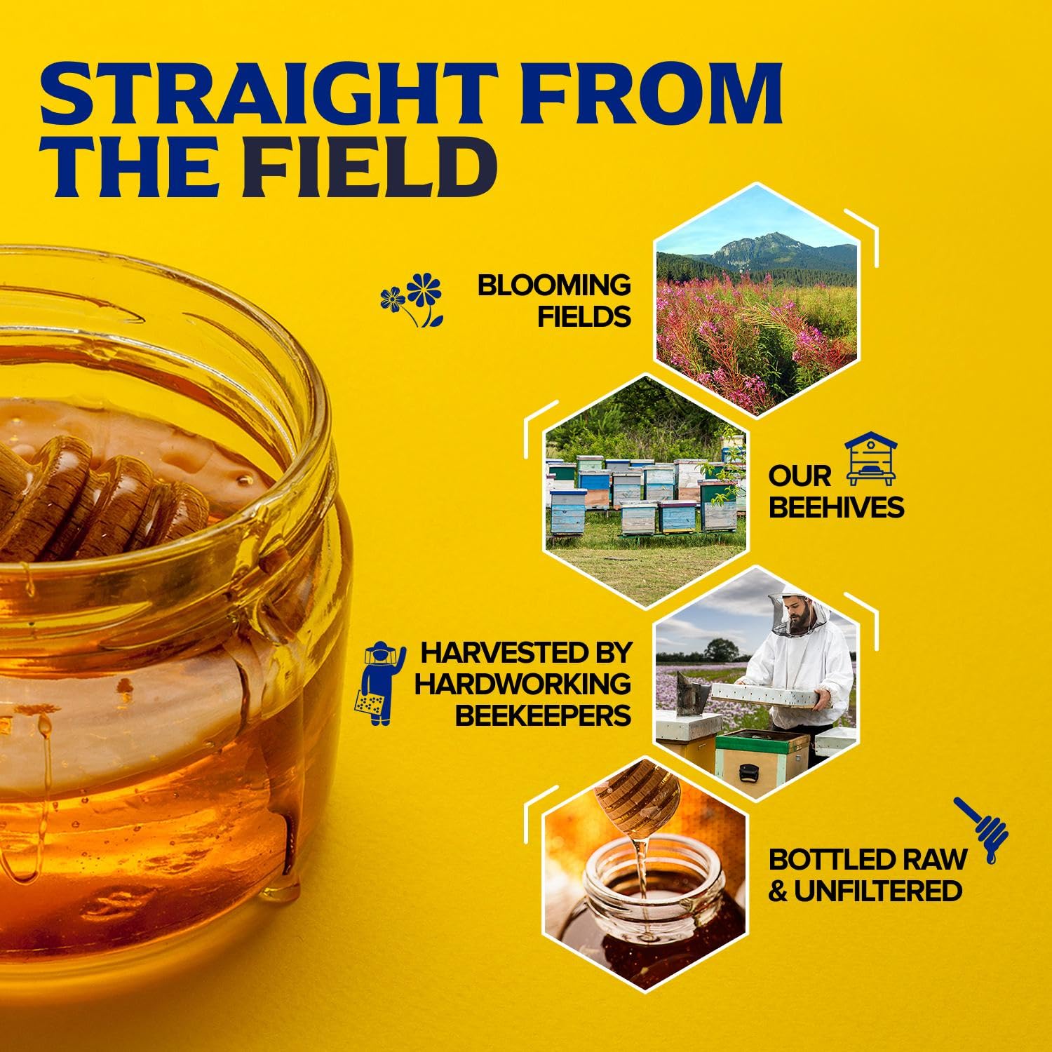 Fischer's 100% Pure, Raw & Unfiltered Honey, 40 oz – All-Natural Sweetener – Rich Flavor Profile, Packed with Nutrients