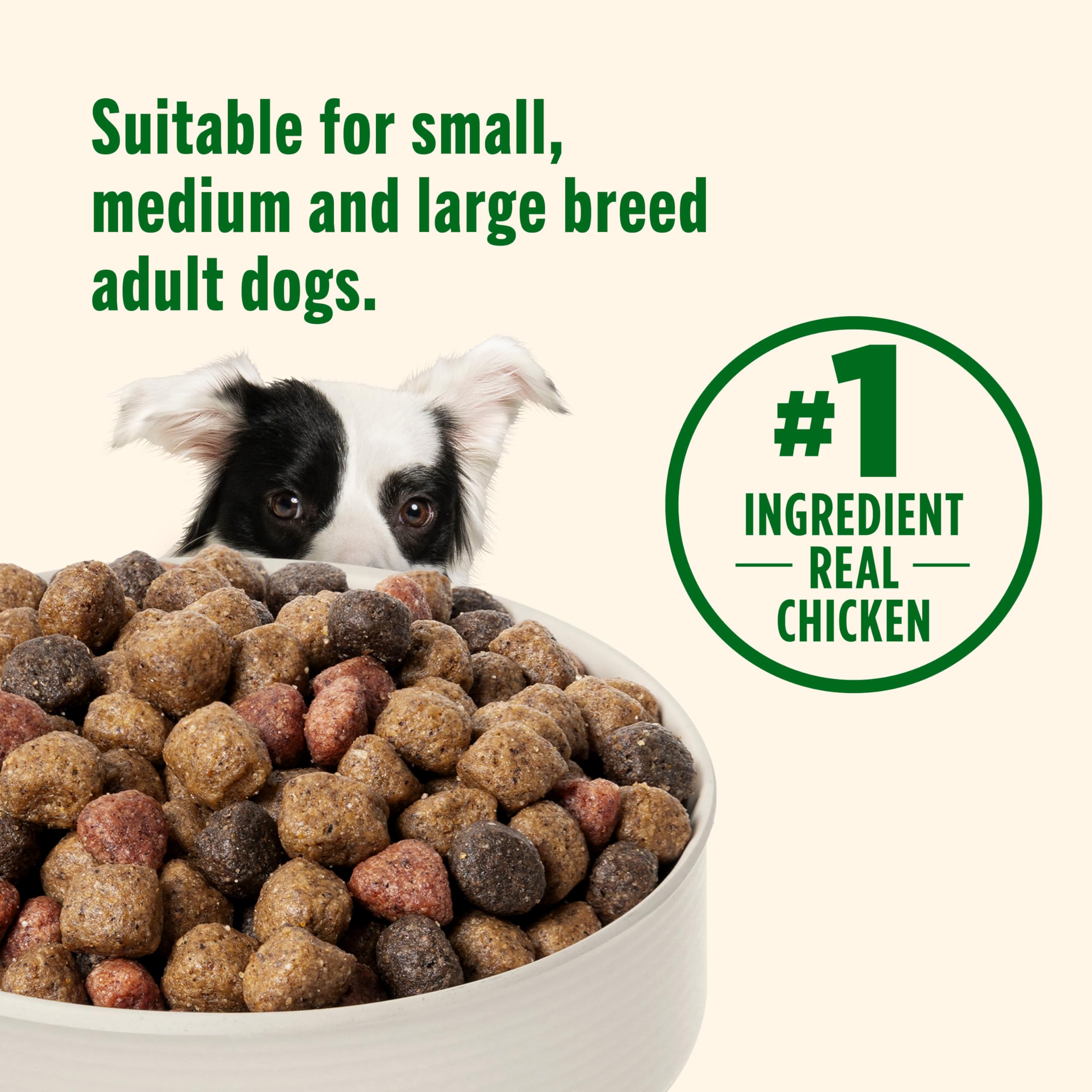 Nutrish Dry Dog Food, Real Chicken & Veggies Recipe Whole Health Blend, 6 lb. Bag (Rachael Ray)