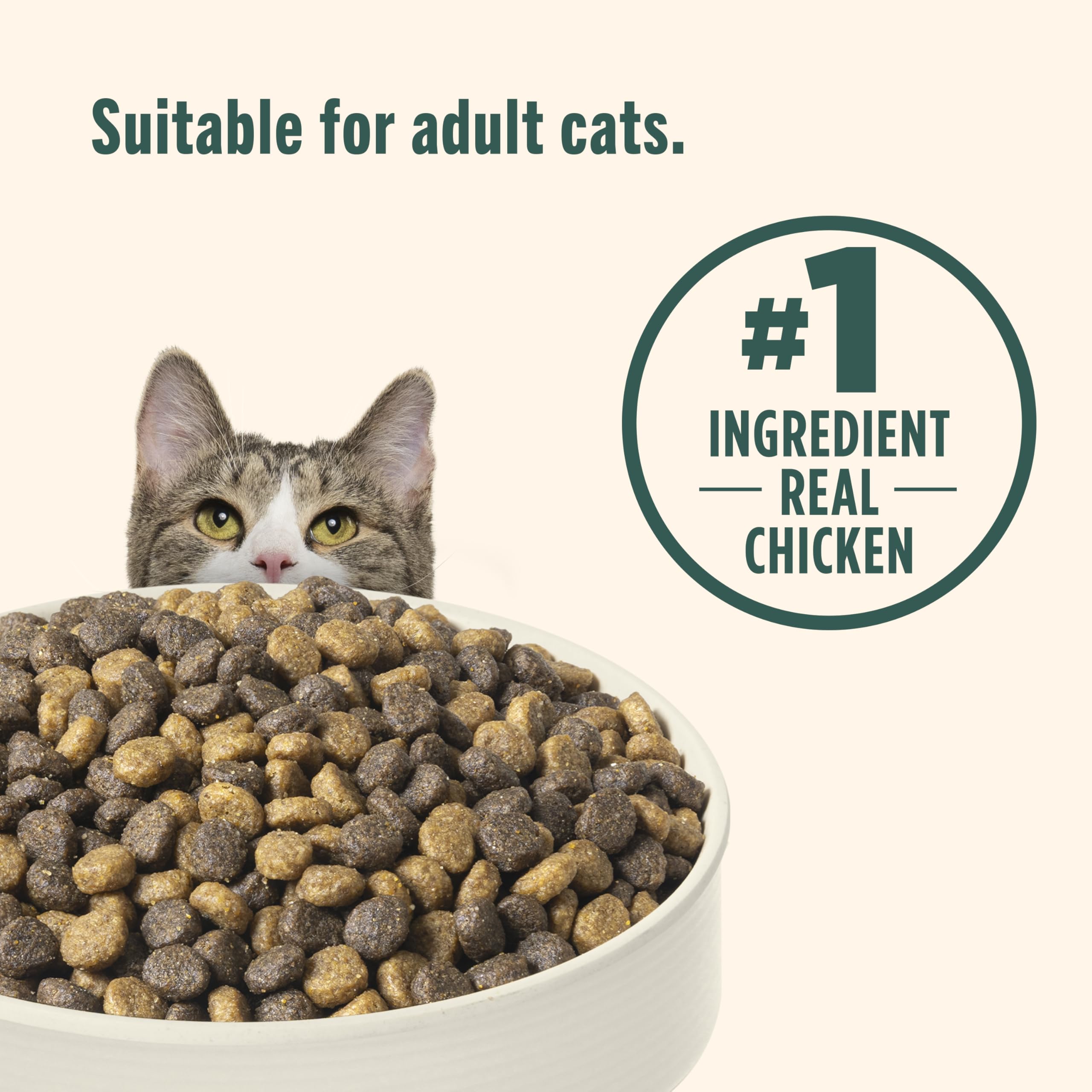 Nutrish Indoor Complete Premium Natural Dry Cat Food, Chicken with Lentils & Salmon Recipe, 14 Pounds (Packaging May Vary)