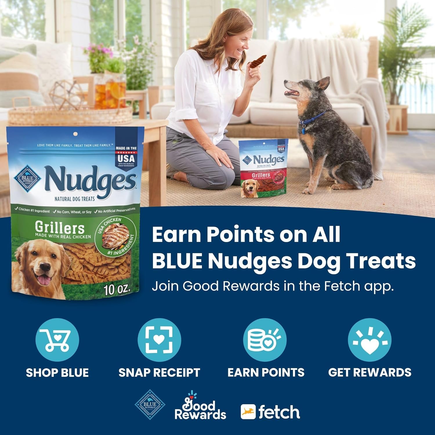 Blue Buffalo Nudges Homestyle Natural Dog Treats, Made in the USA with Real Chicken, Peas, and Carrots, 16-oz. Bag