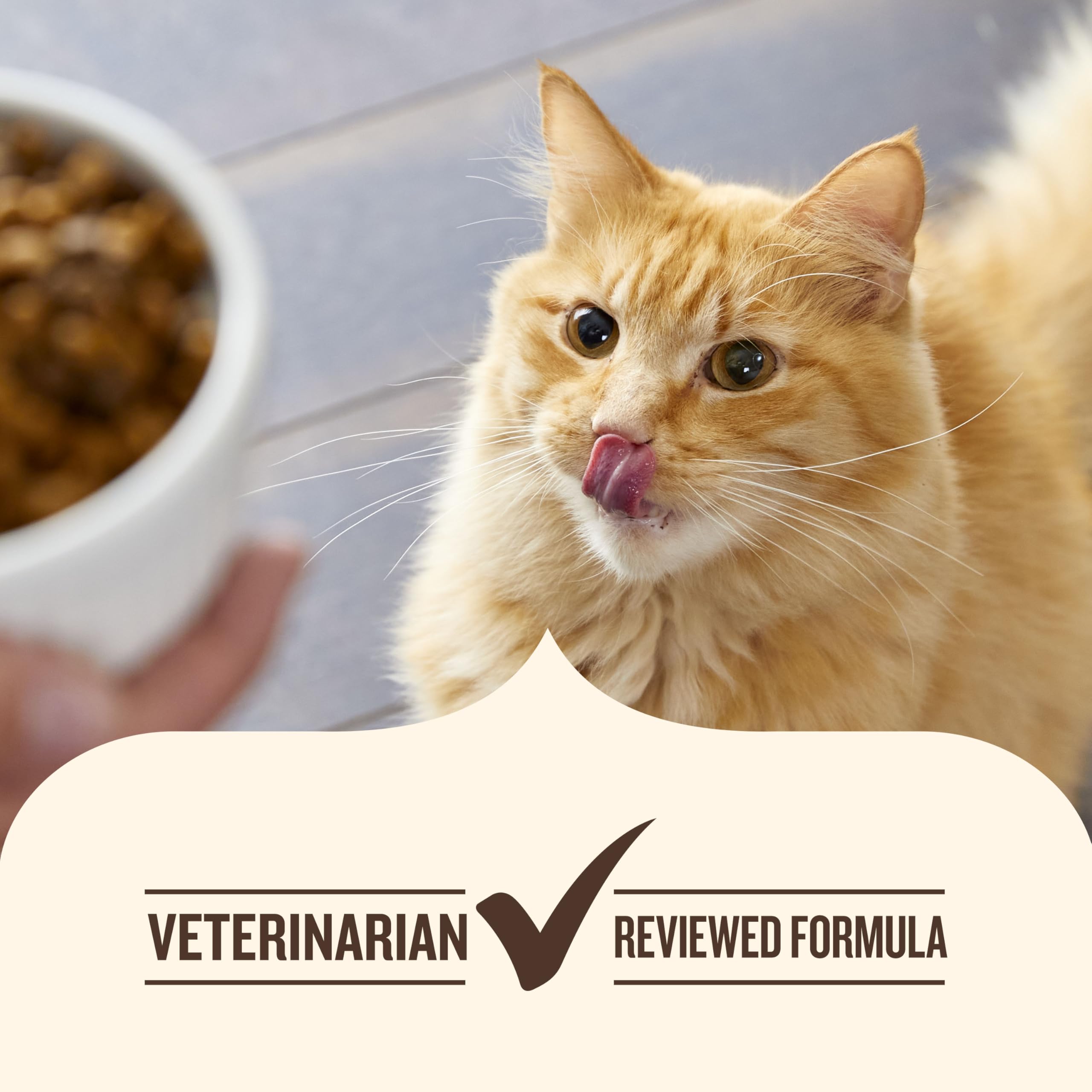 Nutrish Indoor Complete Premium Natural Dry Cat Food, Chicken with Lentils & Salmon Recipe, 14 Pounds (Packaging May Vary)