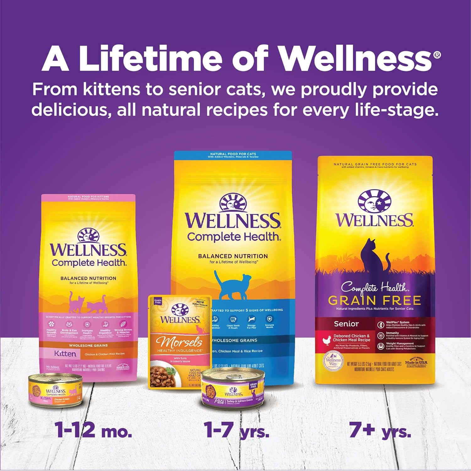 Wellness Complete Health Pate Adult Wet Cat Food, Natural, Protein-Rich, Grain-Free, 3 Ounce, 24 Pack, (Chicken & Turkey Variety Pack)