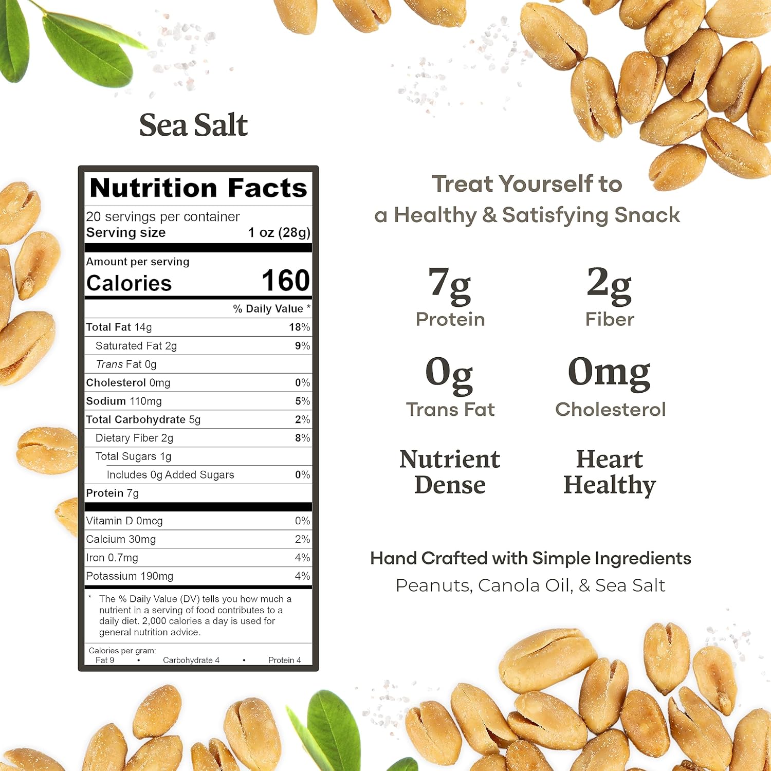 Belmont Peanuts Gourmet Sea-Salted Virginia Peanuts, 20 oz (1 Pack) – Only 3 Simple Ingredients, No Preservatives, 7g Protein – A Premium, Salty, Crunchy, Hand Seasoned Snack