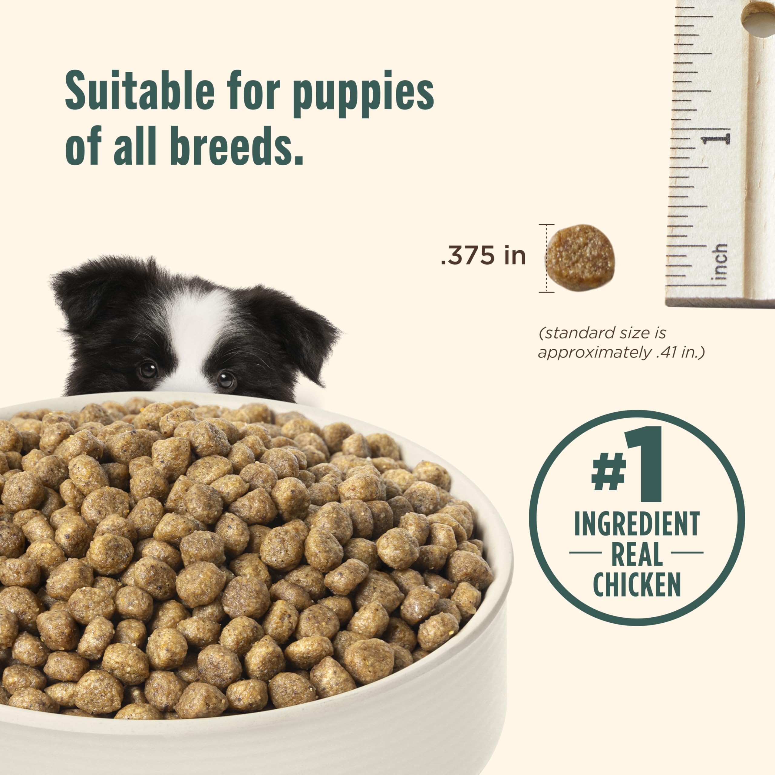 Nutrish Bright Puppy Premium Natural Dry Dog Food, Real Chicken & Brown Rice Recipe, 14 Pounds (Packaging May Vary), (Rachael Ray