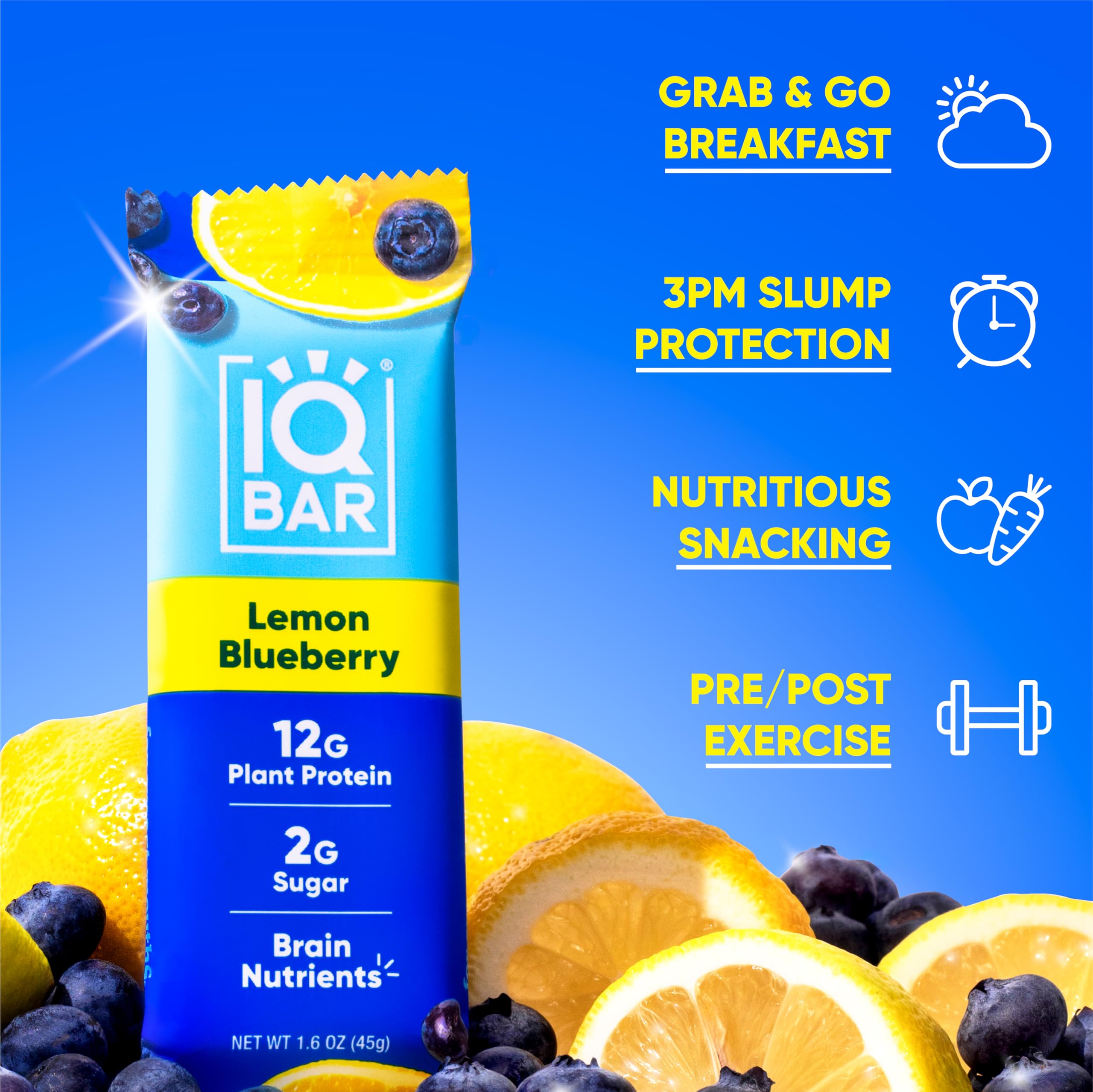 IQBAR Brain and Body Plant Protein Bars - Chocolate Lovers Variety - 36-Count - Keto, Vegan, Low Carb, High Fiber, Gluten Free, Dairy Free, Low Sugar Snack with Nutrients for Focus, Energy, Meal Replacement
