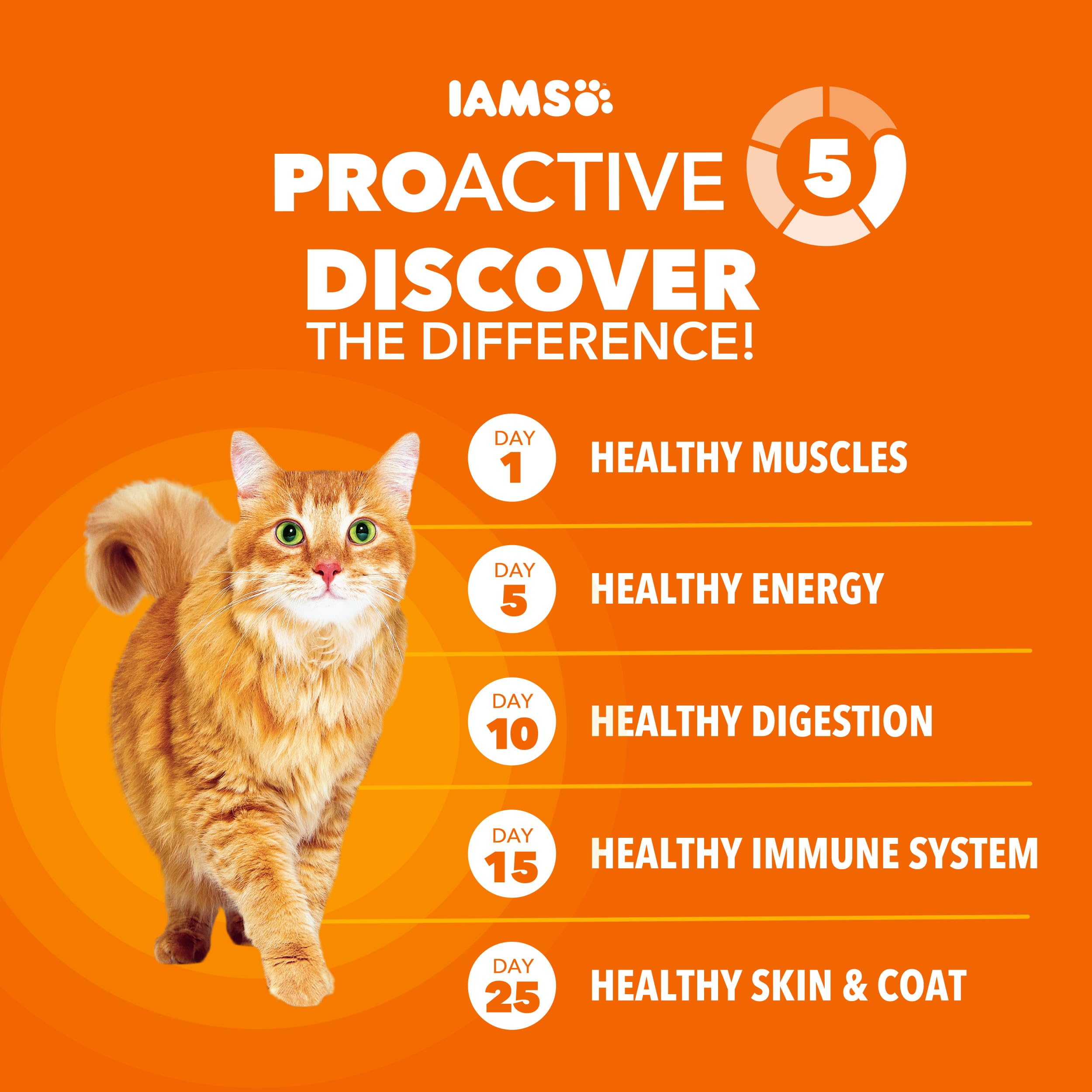 IAMS Proactive Dry Cat Food with Chicken, 22 lb. Bag
