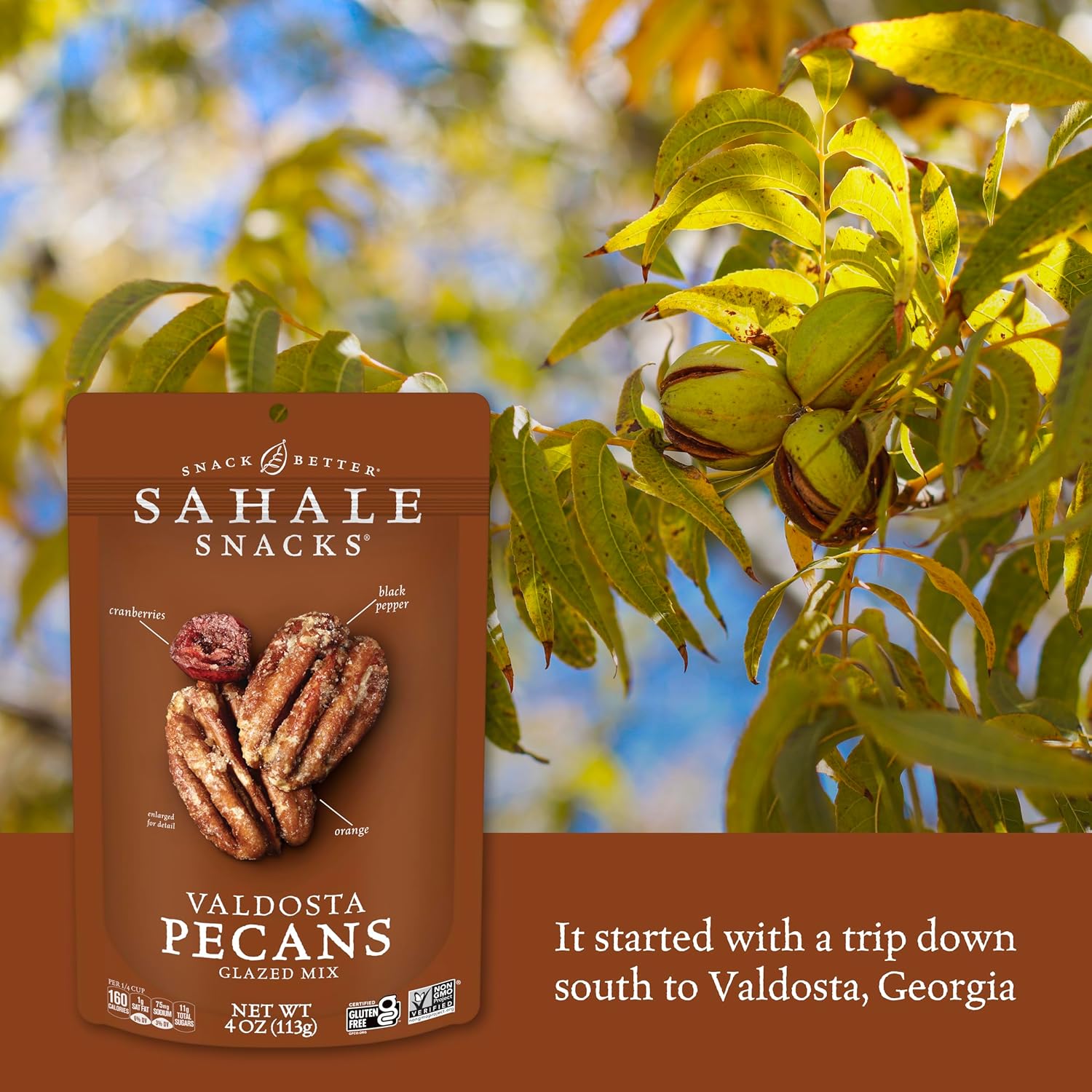 Sahale Snacks Glazed Mix Nut Blend Variety Pack, 1.5 Oz Grab & Go Bags (12 Total Packs) - Four Different Dry-Roasted Deluxe Mixed Nuts Blends Included - Non-GMO Kosher & Certified Gluten-Free Snacks