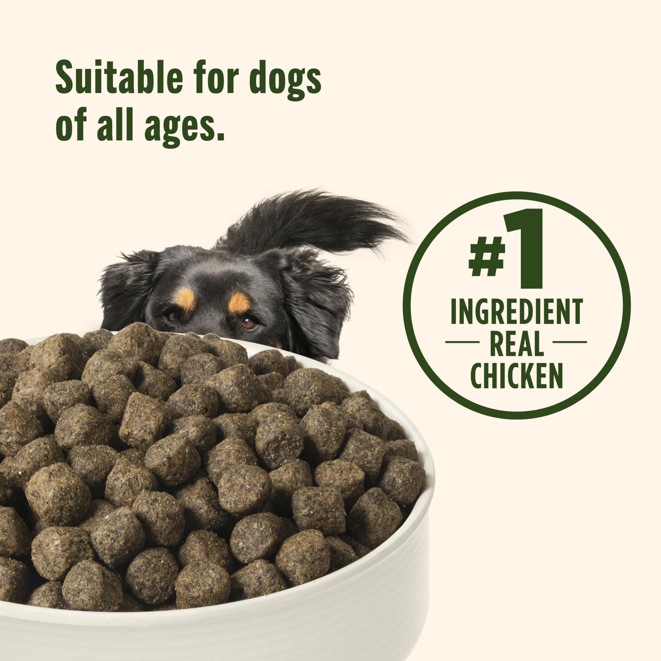 Nutrish Grain Free Chicken & Sweet Potato Recipe Dry Dog Food, 13 lb. Bag, Packaging May Vary (Rachael Ray)