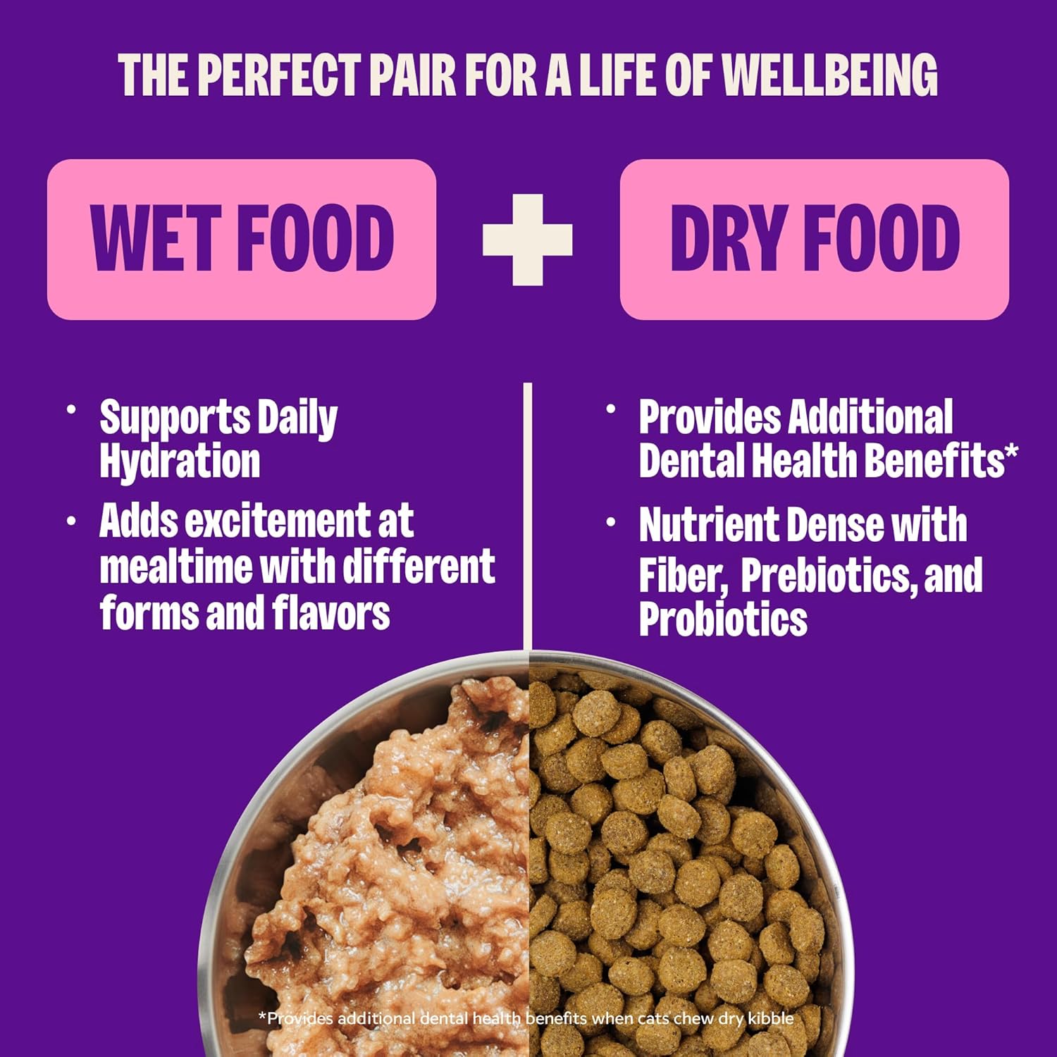 Wellness Complete Health Pate Adult Wet Cat Food, Natural, Protein-Rich, Grain-Free, 3 Ounce, 24 Pack, (Chicken & Turkey Variety Pack)