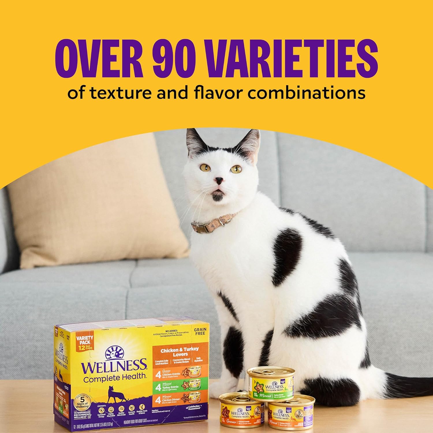 Wellness Complete Health Pate Adult Wet Cat Food, Natural, Protein-Rich, Grain-Free, 3 Ounce, 24 Pack, (Chicken & Turkey Variety Pack)