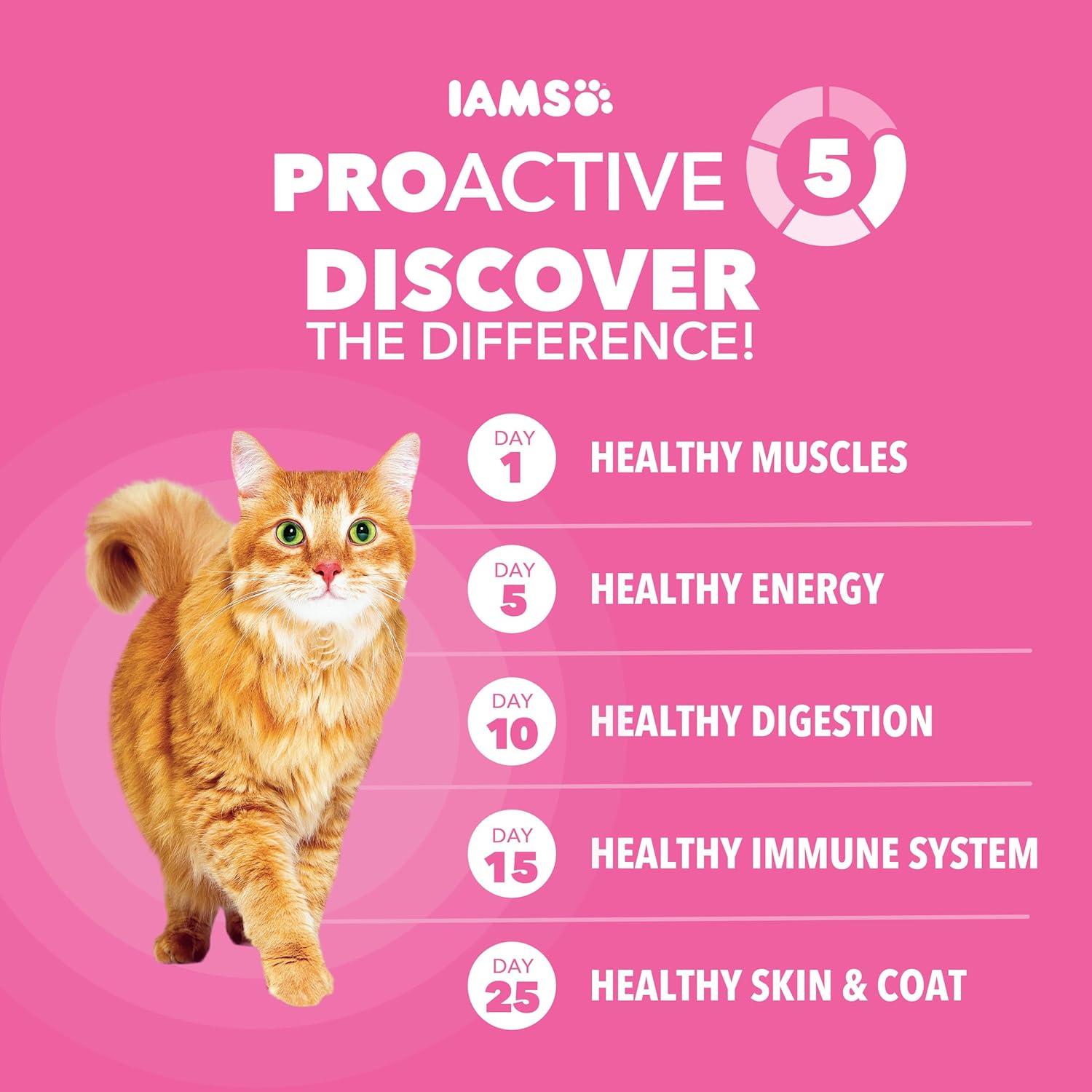 IAMS Proactive Adult Skin Dry Cat Food with Turkey, 13 lb. Bag