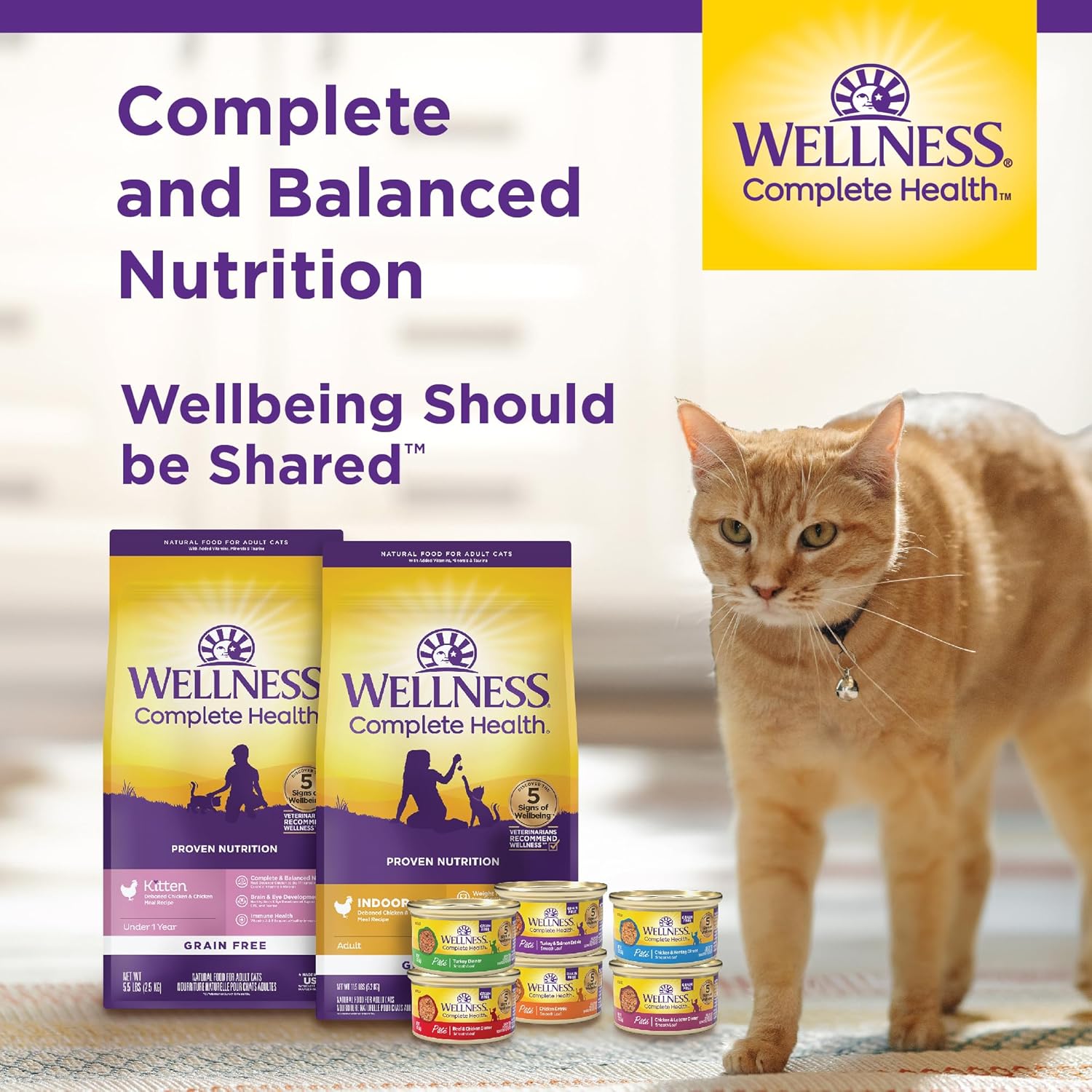 Wellness Complete Health Pate Adult Wet Cat Food, Natural, Protein-Rich, Grain-Free, 3 Ounce, 24 Pack, (Chicken & Turkey Variety Pack)