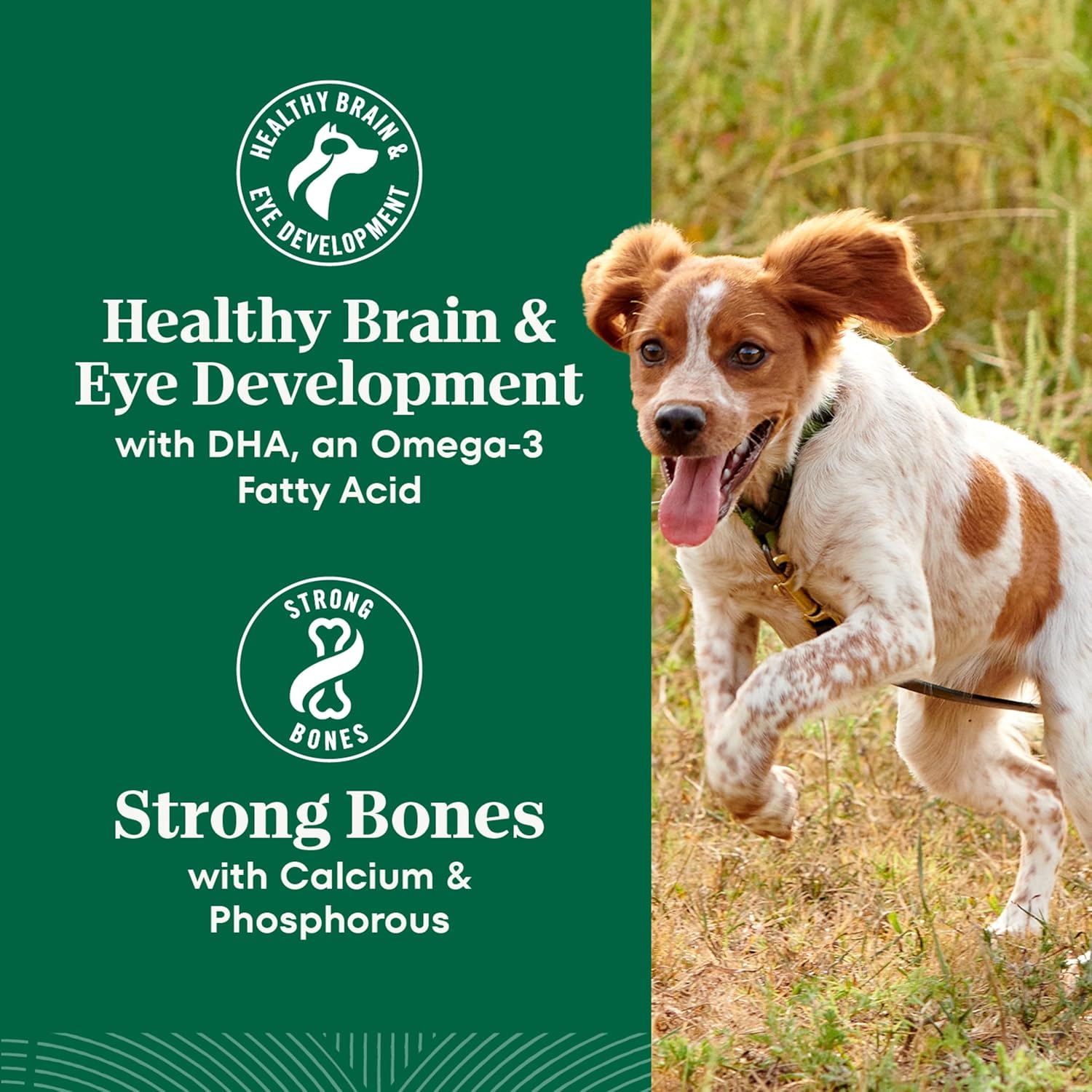 Nutro Natural Choice Large Breed Puppy Food Dry, Lamb & Brown Rice Recipe, 30 lb. Bag