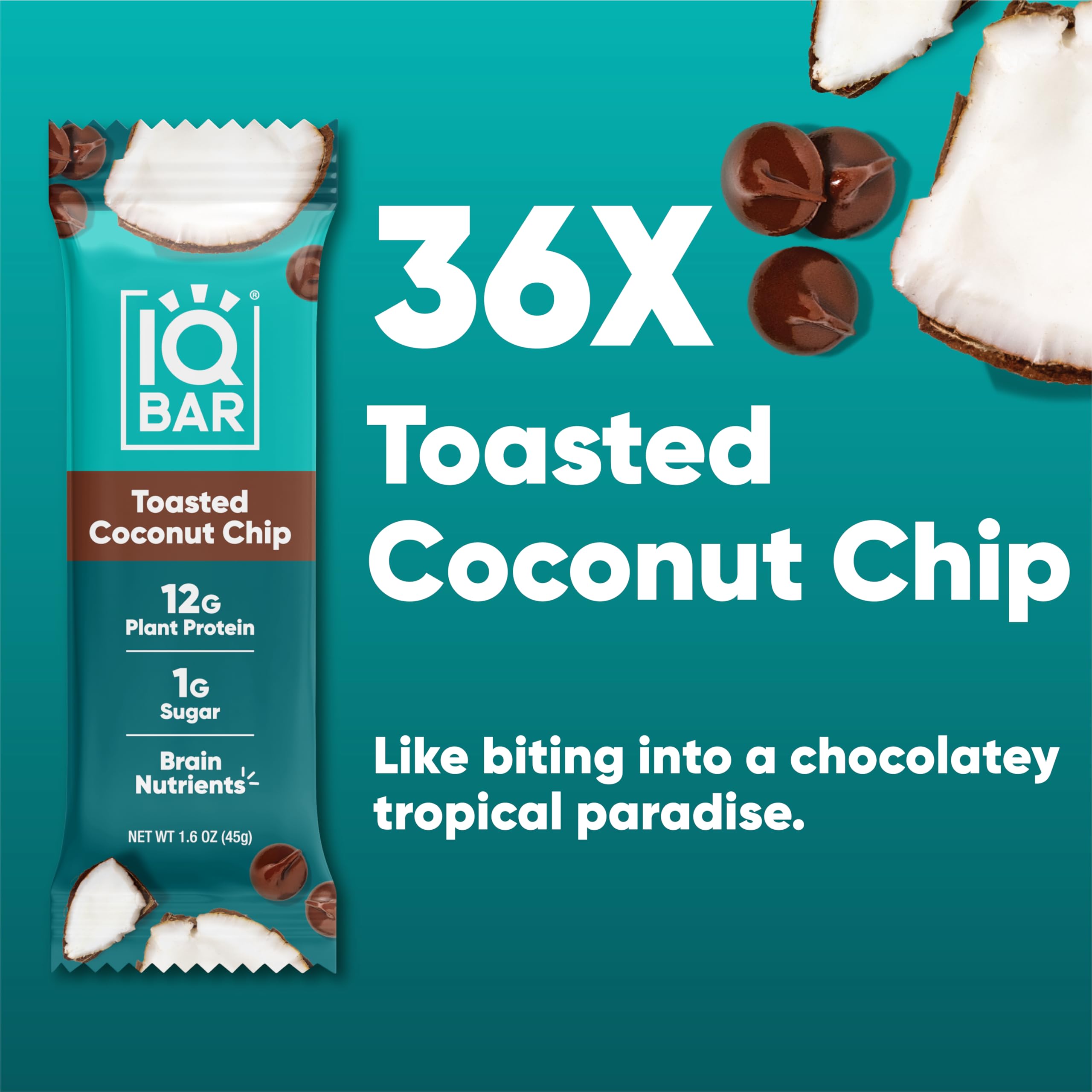 IQBAR Brain and Body Plant Protein Bars - Chocolate Lovers Variety - 36-Count - Keto, Vegan, Low Carb, High Fiber, Gluten Free, Dairy Free, Low Sugar Snack with Nutrients for Focus, Energy, Meal Replacement