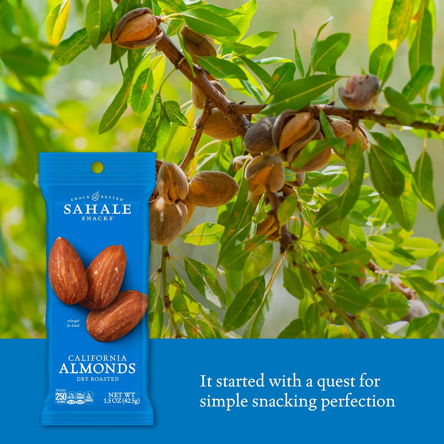 Sahale Snacks Glazed Mix Nut Blend Variety Pack, 1.5 Oz Grab & Go Bags (12 Total Packs) - Four Different Dry-Roasted Deluxe Mixed Nuts Blends Included - Non-GMO Kosher & Certified Gluten-Free Snacks
