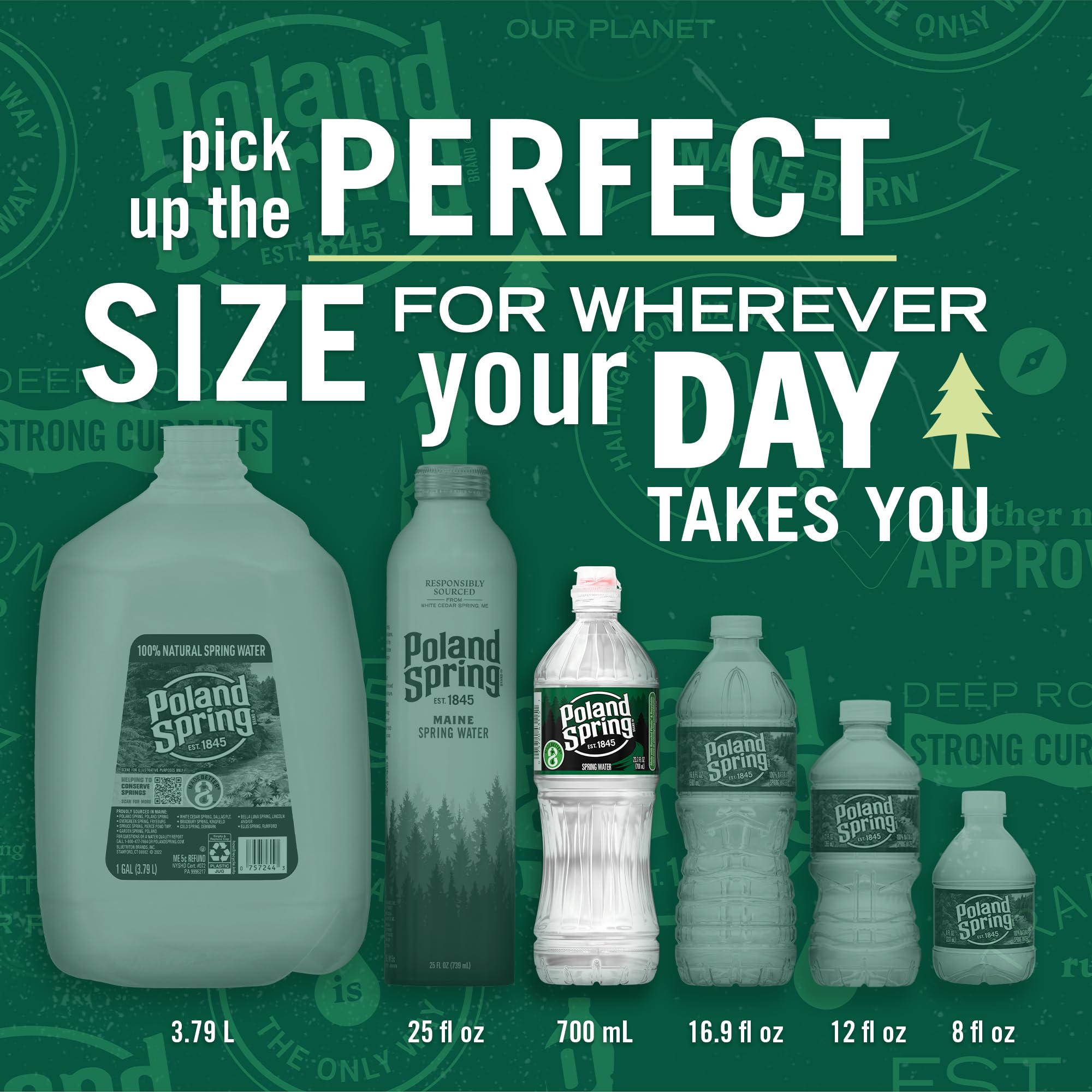 Poland Spring Maine Spring Water Bottles with Sports Flip Cap, 24-Pack - Still Bottled Water with Naturally Occurring Minerals for Taste - 23.7 Fl Oz
