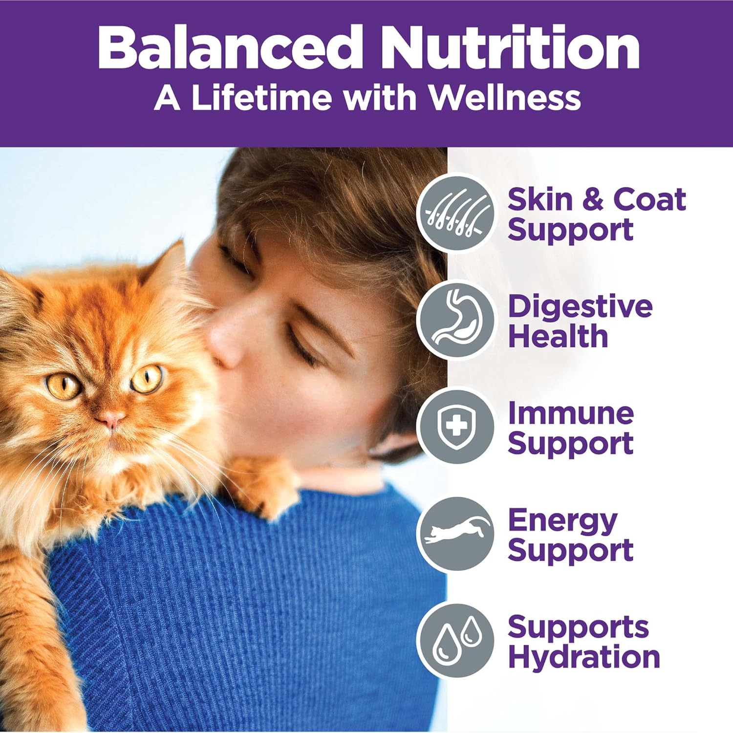 Wellness Complete Health Pate Adult Wet Cat Food, Natural, Protein-Rich, Grain-Free, 3 Ounce, 24 Pack, (Chicken & Turkey Variety Pack)