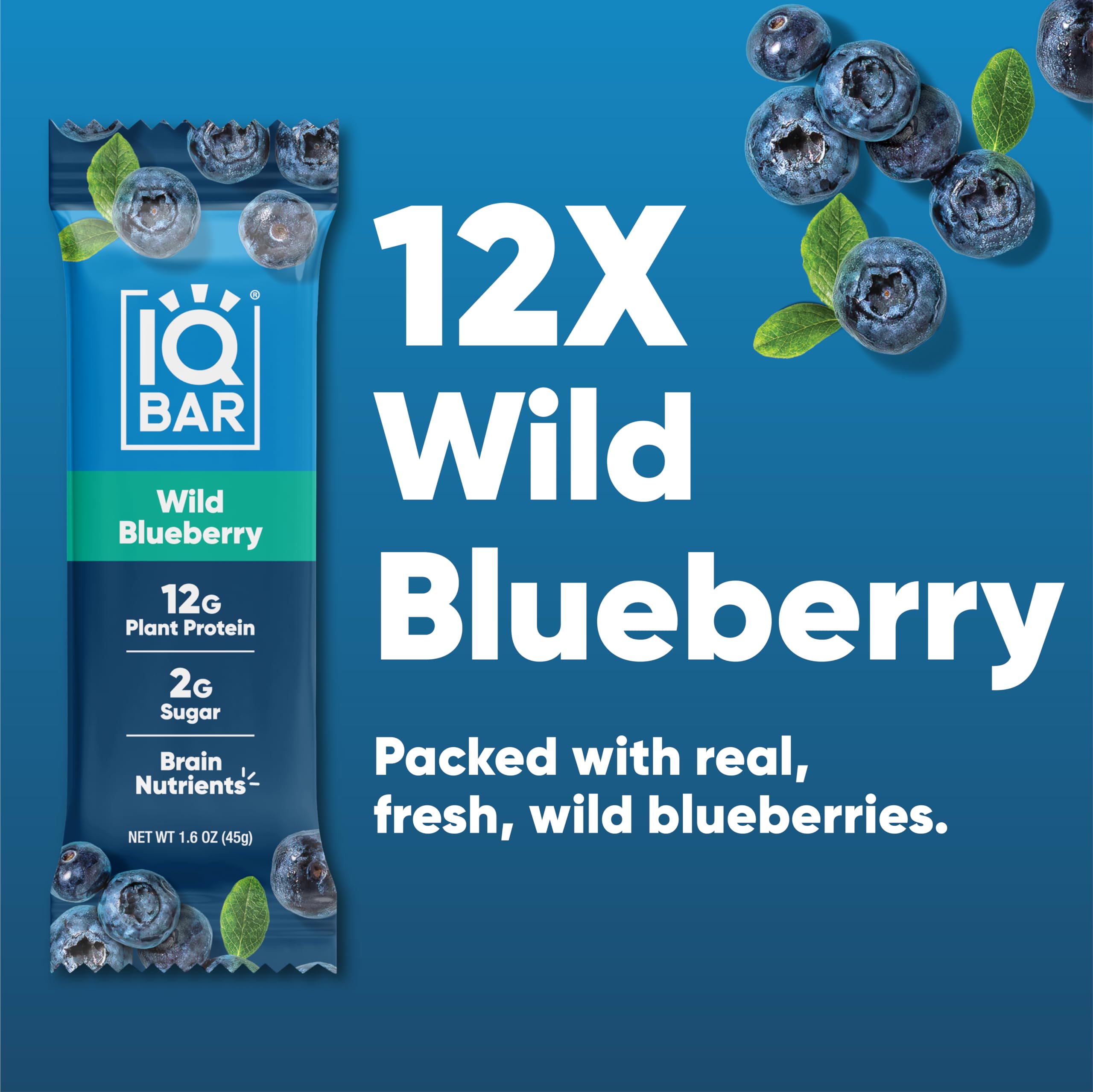IQBAR Brain and Body Plant Protein Bars - Chocolate Lovers Variety - 36-Count - Keto, Vegan, Low Carb, High Fiber, Gluten Free, Dairy Free, Low Sugar Snack with Nutrients for Focus, Energy, Meal Replacement