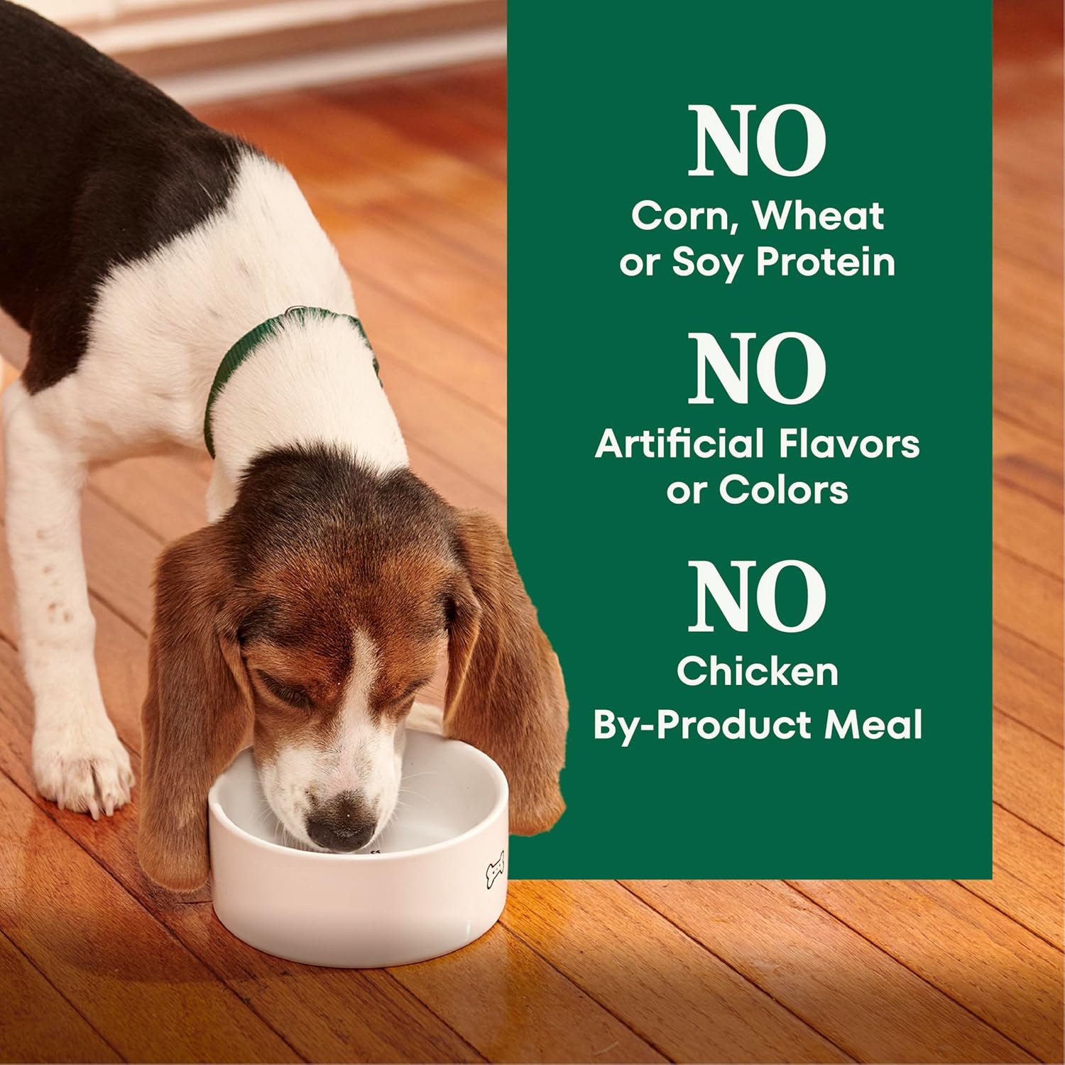 Nutro Natural Choice Large Breed Puppy Food Dry, Lamb & Brown Rice Recipe, 30 lb. Bag