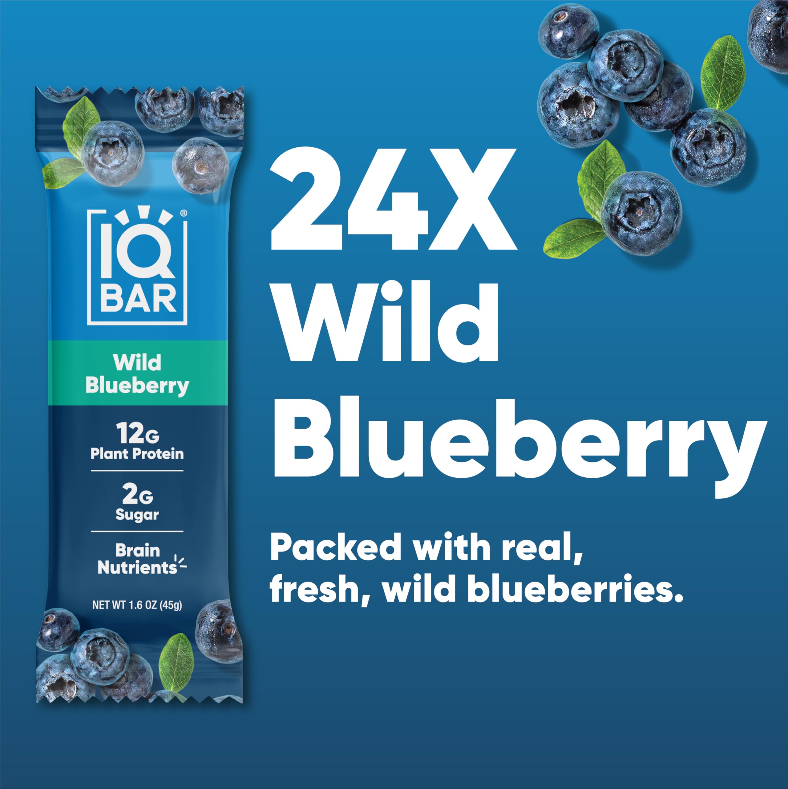 IQBAR Brain and Body Plant Protein Bars - Chocolate Lovers Variety - 36-Count - Keto, Vegan, Low Carb, High Fiber, Gluten Free, Dairy Free, Low Sugar Snack with Nutrients for Focus, Energy, Meal Replacement