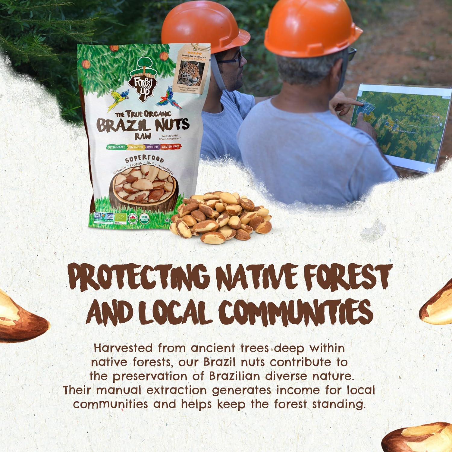 Snack The True Organic Brazil Nuts 15 oz – Raw and Unsalted – Kosher – Healthy-Rich in Vegetable Protein – Harvested in Amazon Rainforest – Fresh, Vegan and Gluten Free – Forest Up