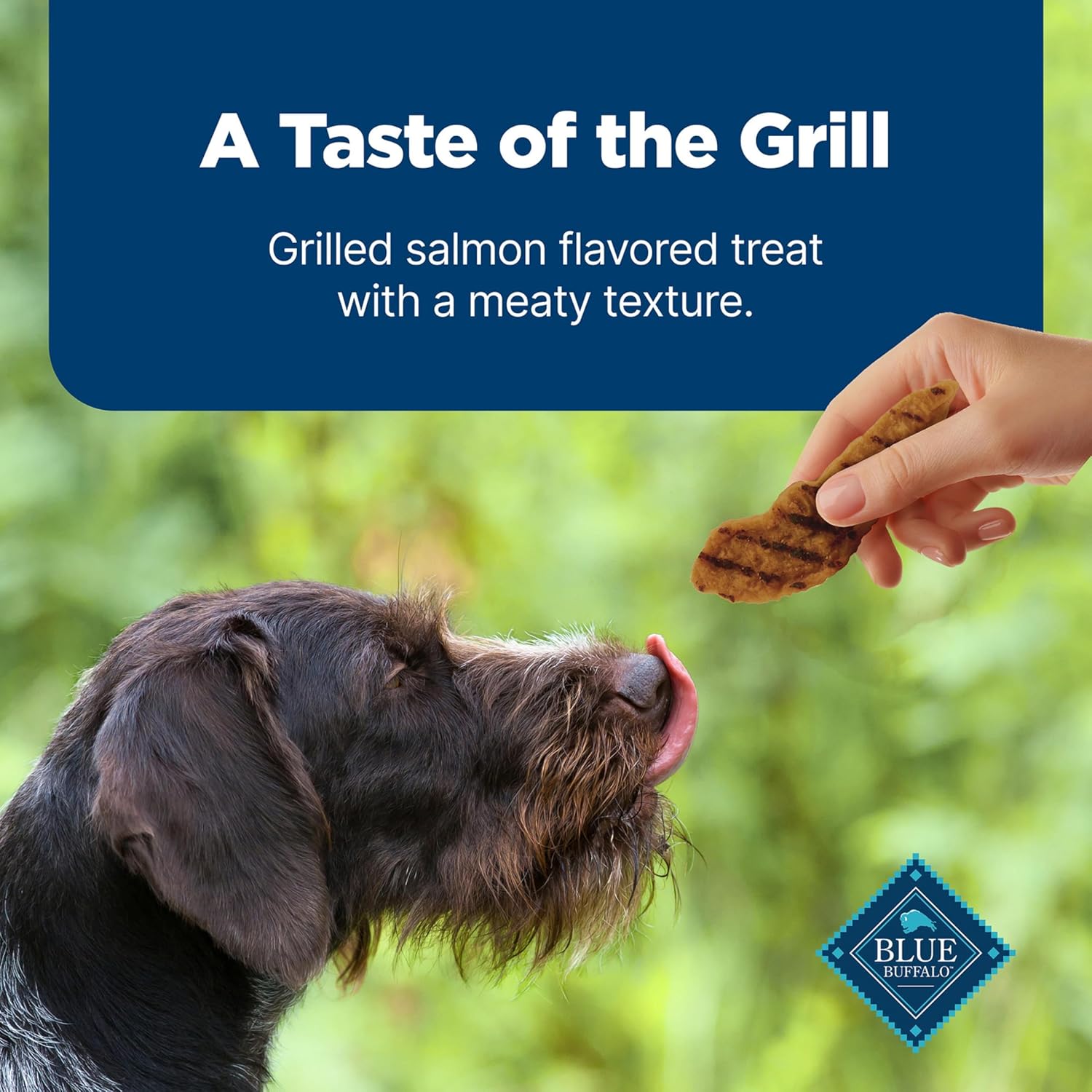 Blue Buffalo Nudges Grillers Natural Dog Treats, Made in The USA with Real Salmon, 16-oz. Bag
