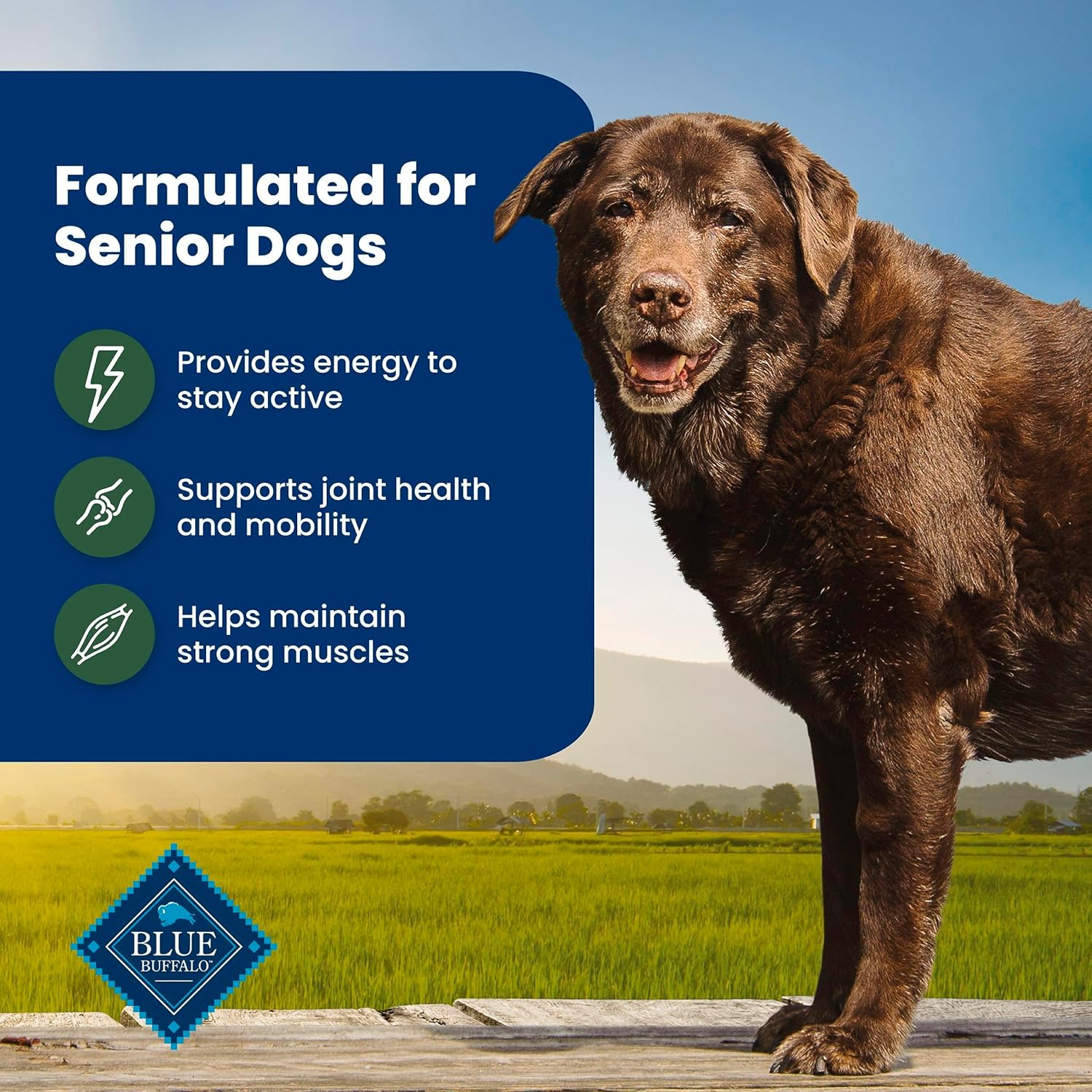 Blue Buffalo Life Protection Formula with LifeSource Bits, Senior 7+ Dry Dog Food, Lamb and Brown Rice Recipe, Natural Food for Dogs, 30 lb. Bag