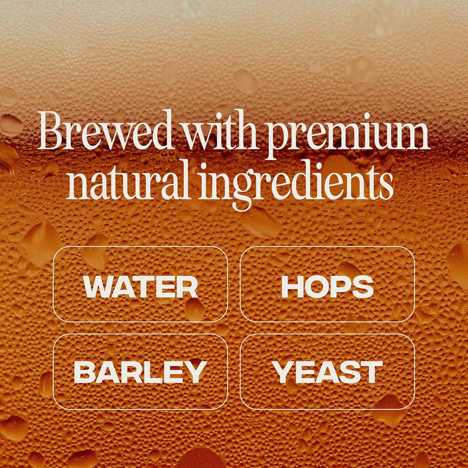 Partake Brewing Craft Non Alcoholic Beer, IPA 12 Pack x 12 Fl Oz Cans - Low Calorie & Carb, No Sugar, All Natural Ingredients - Award-Winning Taste, Non Alcoholic Beer Without the Empty Calories